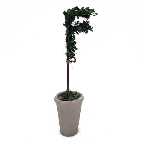 Forest Green - F