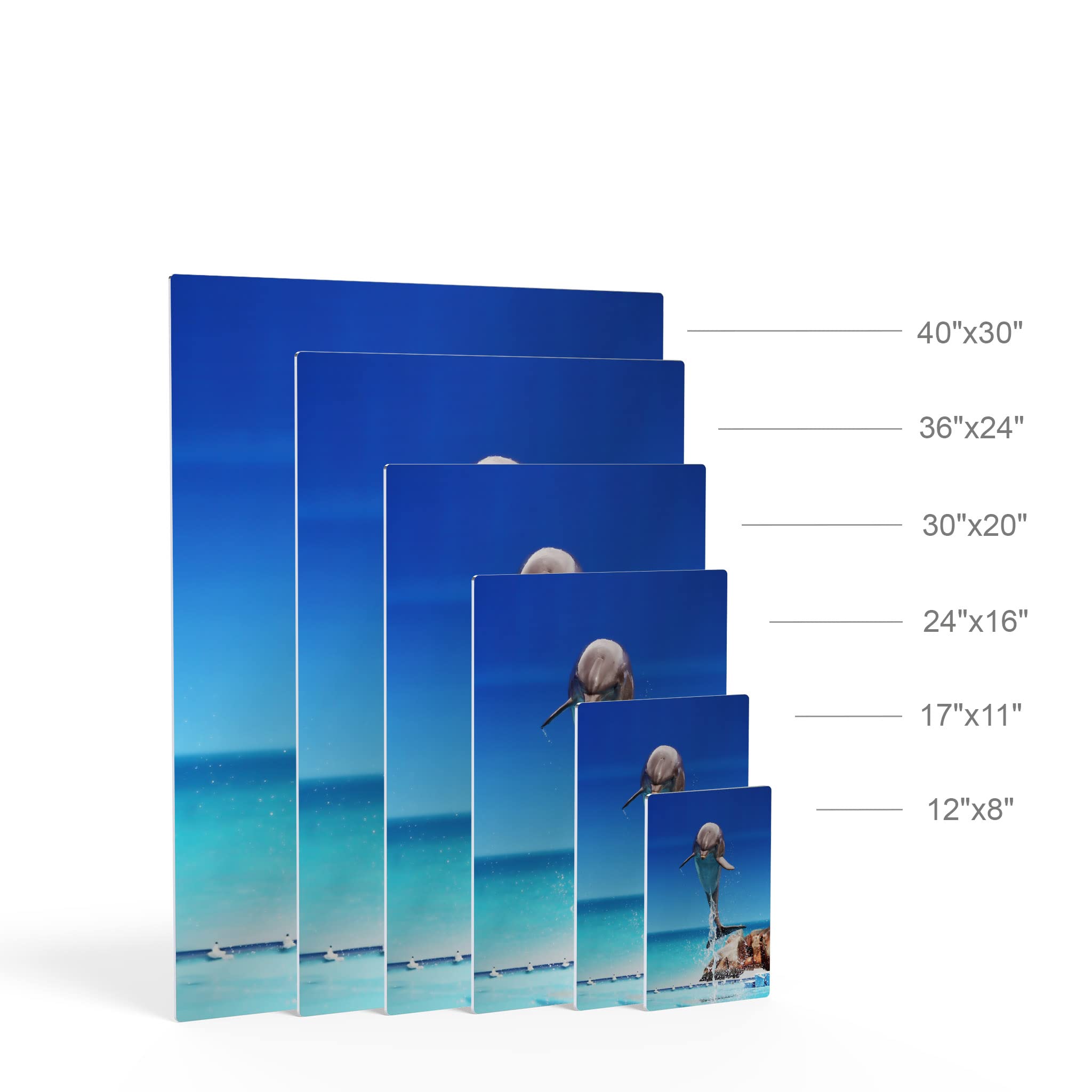 Dolphin Metal Wall Art Print - Blue Sky Marine Animal Portrait for Coastal & Nautical Decor | Ocean-Themed Home & Office Decor | Perfect for Living Room, Bedroom, Nursery & Kids Room | Made in USA - 40x30 Inches