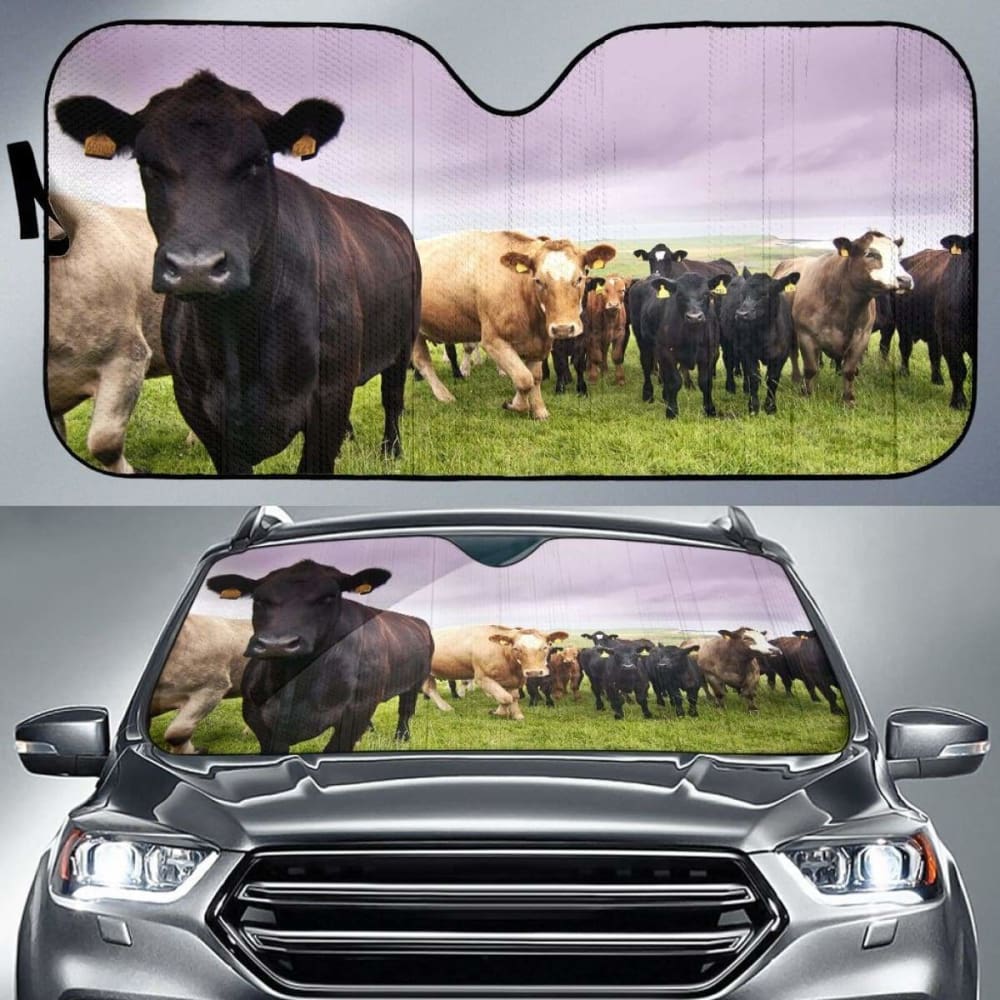 Car Windshield Sun Shade for SUV & Truck - Universal Fit 30
