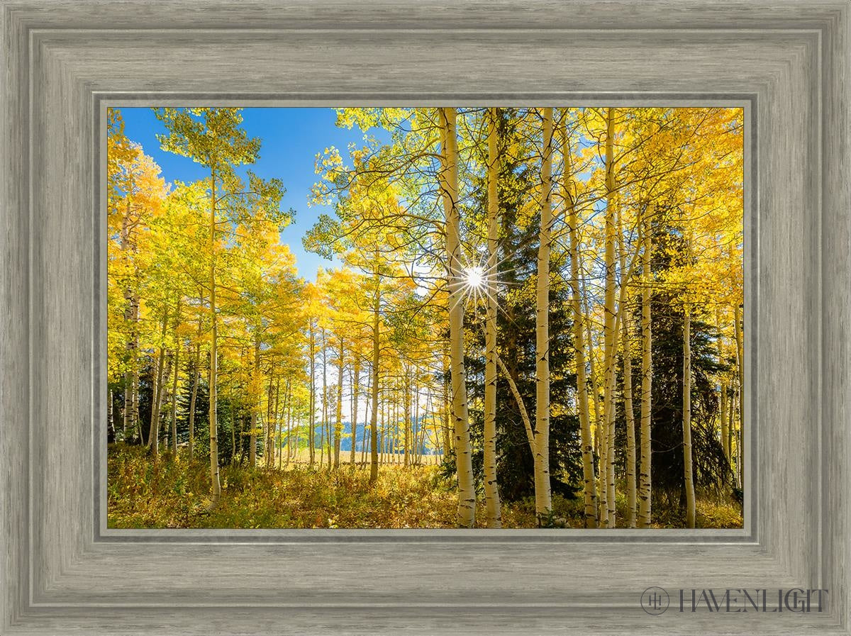 Autumn in the Rocky Mountains - Stunning Fall Foliage at Wasatch National Forest Utah | Perfect for Hiking, Photography & Nature Exploration