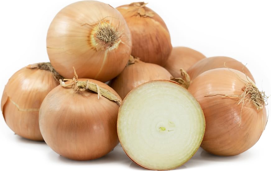 Fresh Yellow Onions - USA Grown, Non-GMO, Bulk 10lb Bag | Perfect for Cooking, Salads & Meal Prep | High-Quality Fresh Produce for Restaurants & Home Chefs