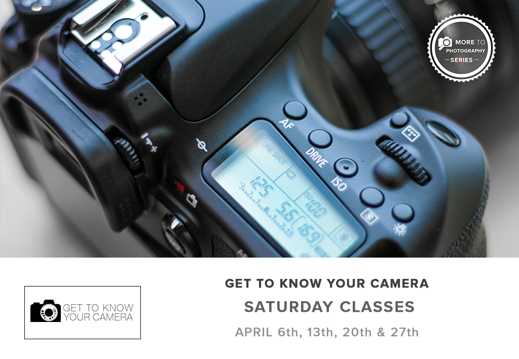 Learn Camera Basics - Photography Guide for Beginners | Perfect for DSLR & Mirrorless Users | Improve Your Skills at Home, Travel & Events