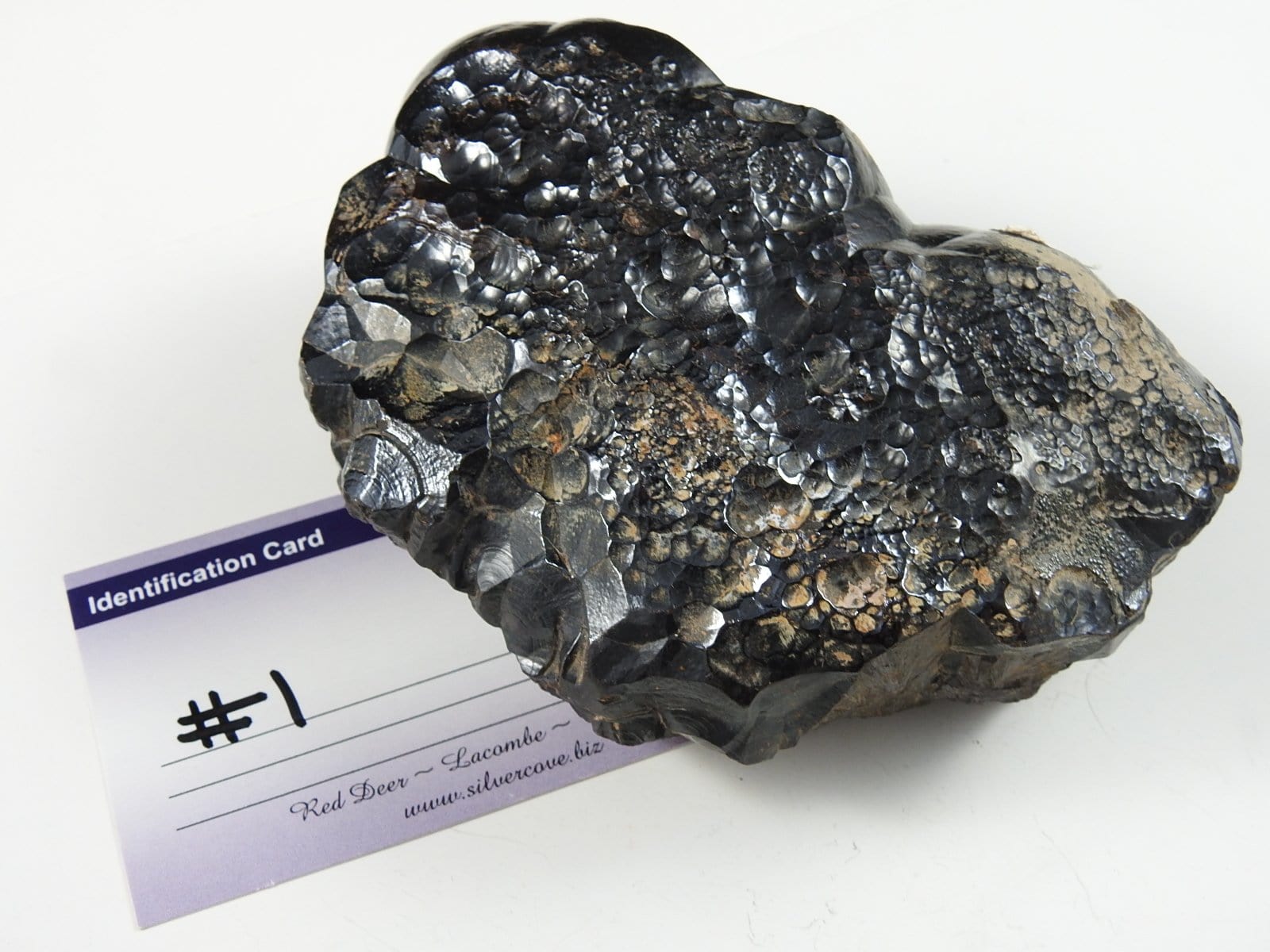Botryoidal Hematite Specimen - Rare Mineral Collection for Healing & Decor | Crystal Healing, Home Display, Gift Idea