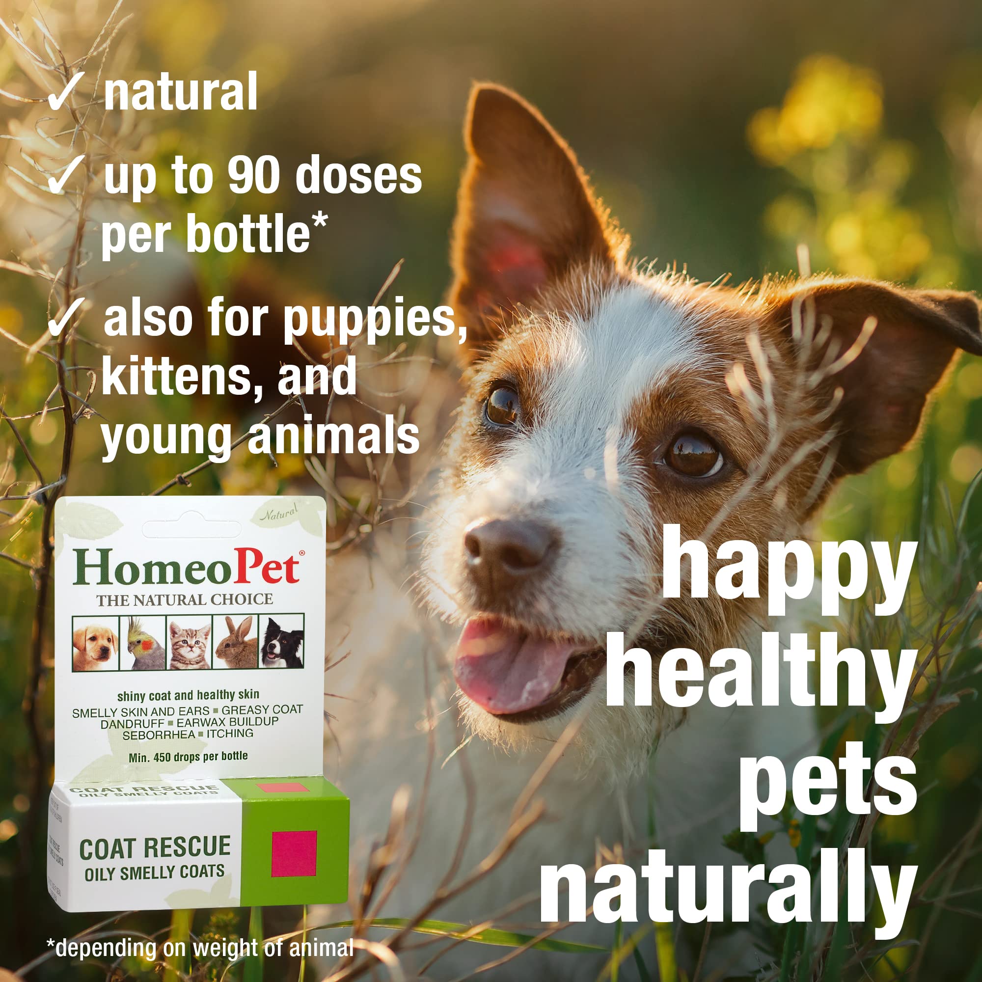 HomeoPet Coat Rescue - Natural Skin & Coat Support for Dogs & Cats - 15ml | Soothes Itching & Promotes Healthy Fur - Ideal for Allergies & Seasonal Shedding