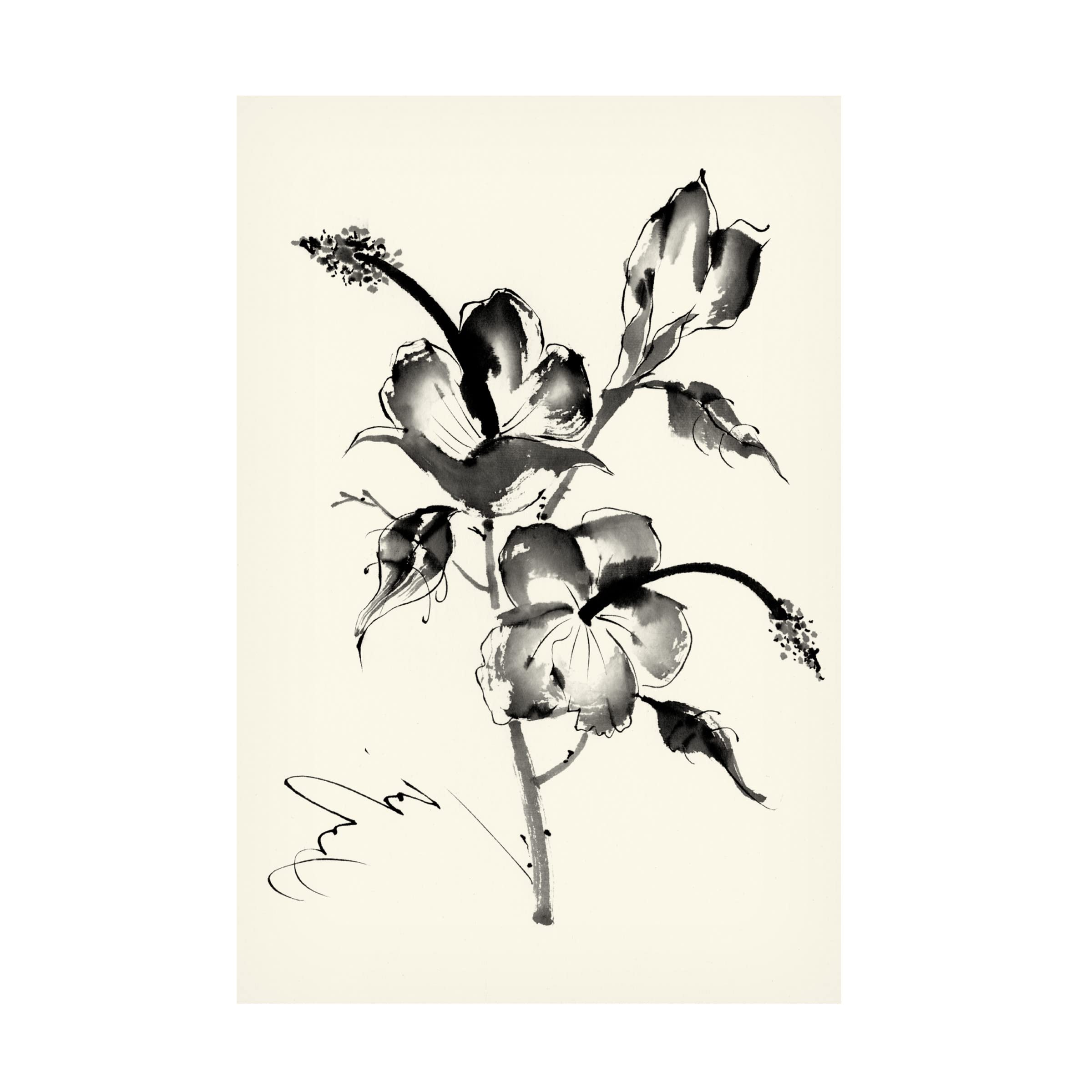 Trademark Fine Art 'Ink Wash Floral III Hibiscus' Canvas Wall Art by Nan Rae - Hand Painted Floral Home Decor for Living Room, Bedroom & Office