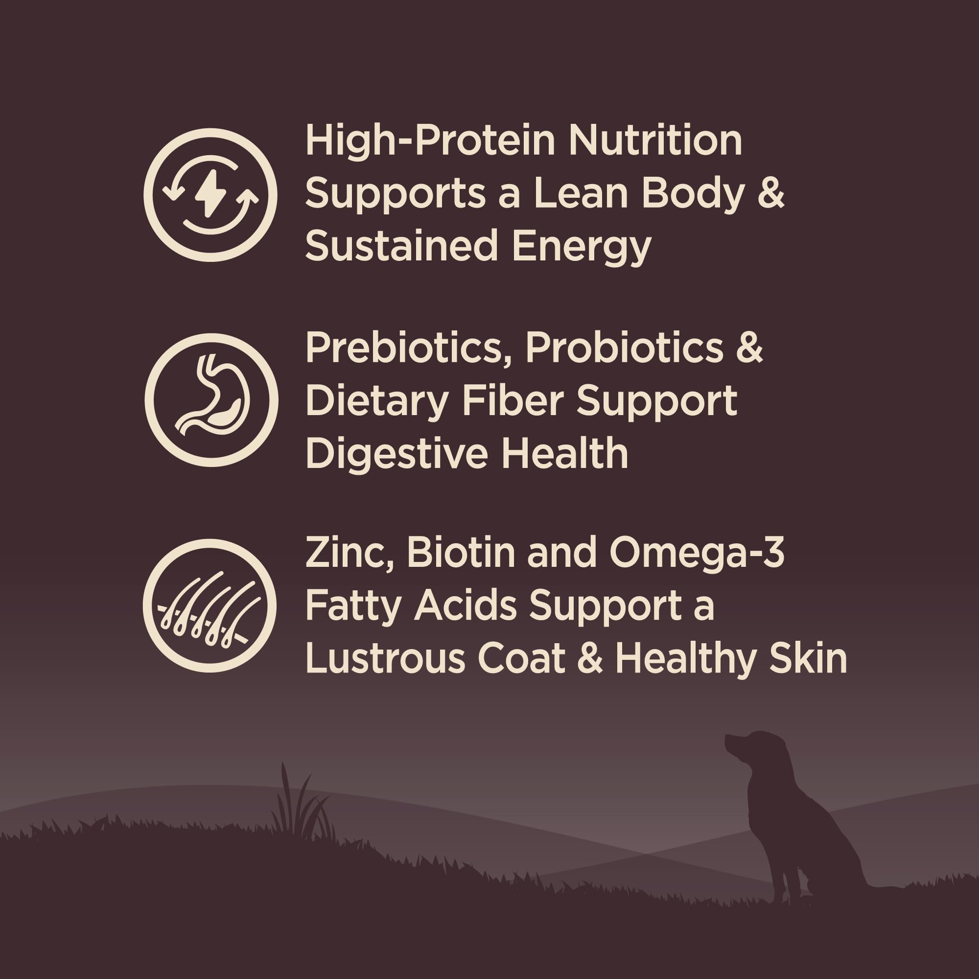 Wellness CORE Grain-Free High-Protein Dry Dog Food for Adult Dogs - Natural Ingredients with Real Lamb, Made in USA - All Breed Sizes (22lb Bag) - Perfect for Active Dogs & Weight Management