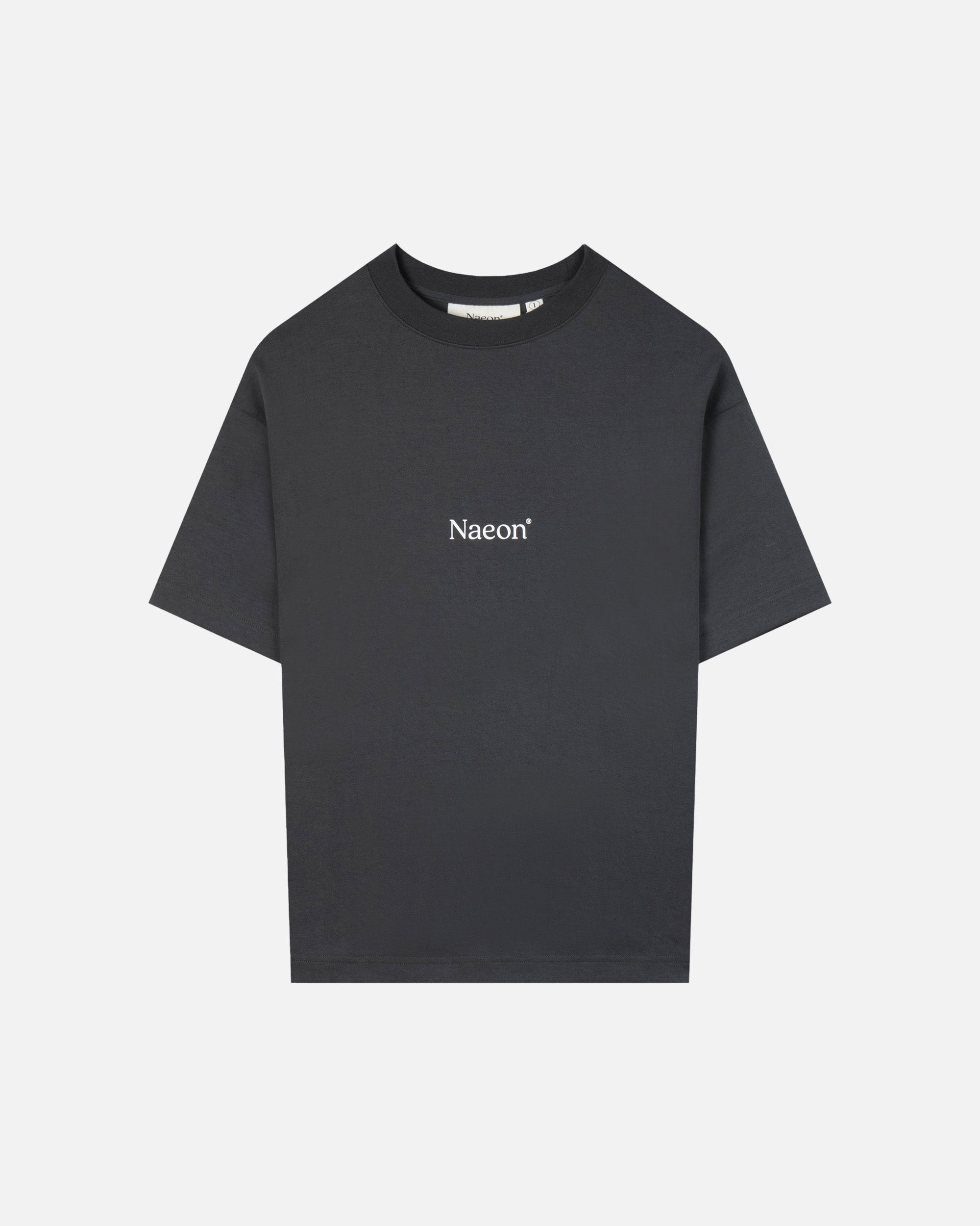 NAEON Creation of Adam Heavyweight T-Shirt - Premium Basalt Cotton Tee for Men | Art-Inspired Casual Wear & Street Fashion