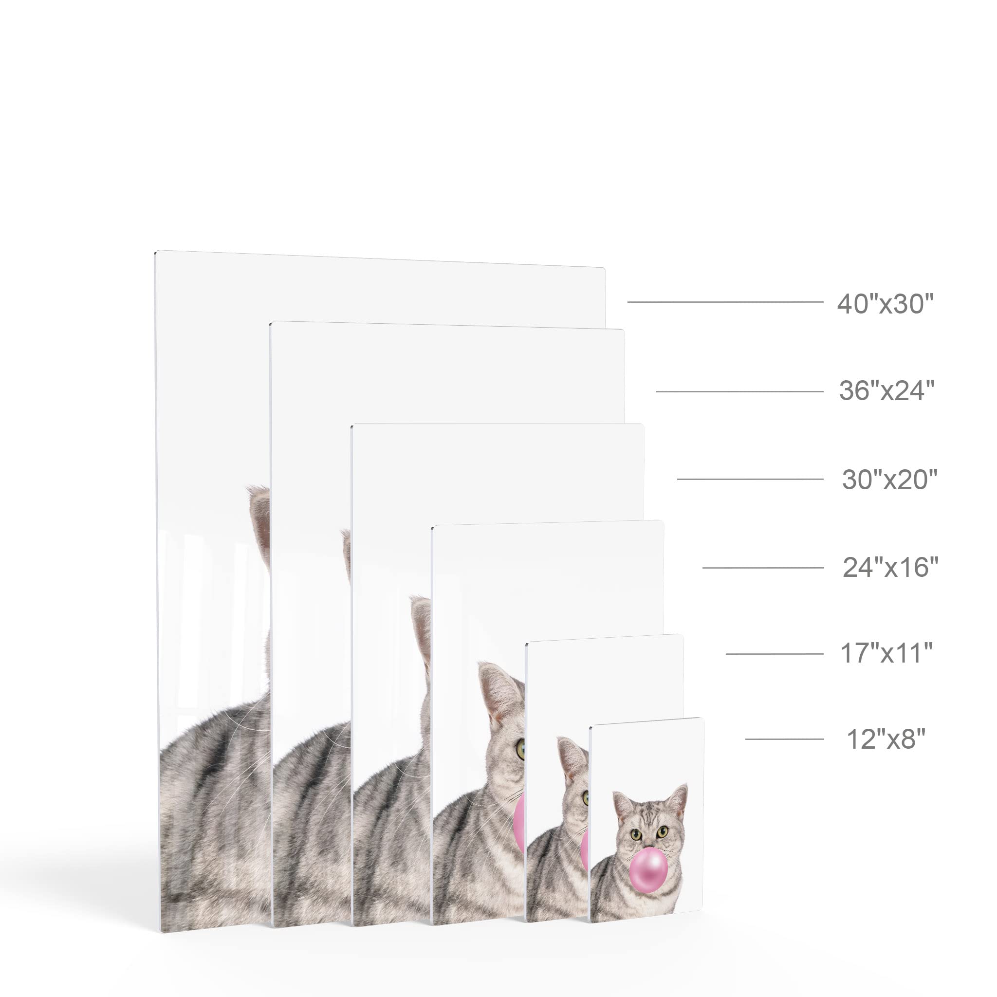 Brazilian Shorthair Cat Chewing Bubble Gum Metal Wall Art - 40x30 Inch Pet Lover Gift for Office, Living Room, Bedroom & Nursery Decor | Unique Animal Portrait Print for Cat Enthusiasts