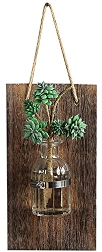 Art Glass Vase - Creative Transparent Hydroponic Flower Pot for Wall Hanging | Modern Plant Containers & Home Decor Statue | Perfect for Indoor Plants, Succulents & Wall Decoration (Color: Default)
