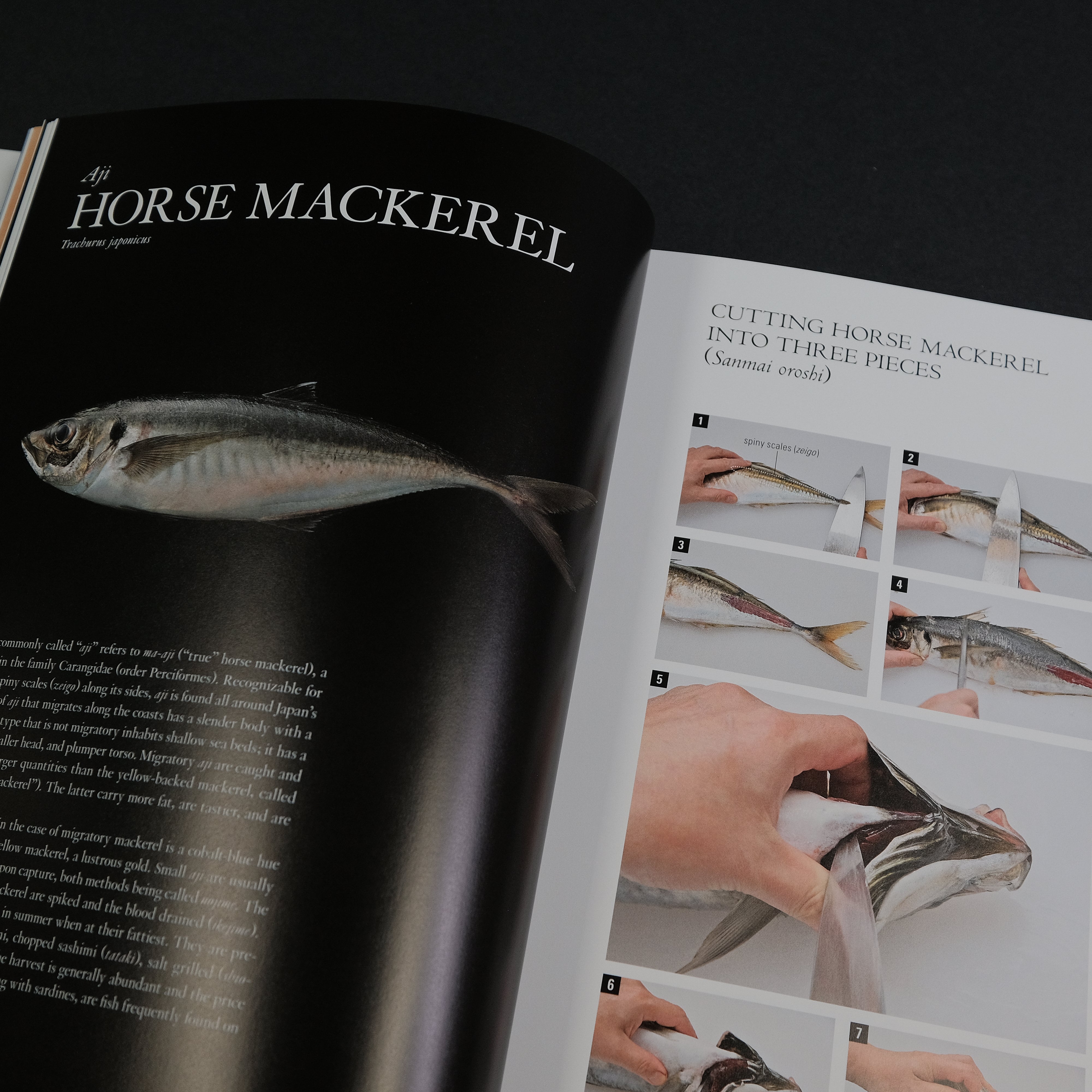 Japanese Culinary Academy MUKOITA II: Professional Cutting Techniques for Seafood, Poultry & Vegetables - English Edition | Perfect for Sushi Chefs, Home Cooks & Culinary Students