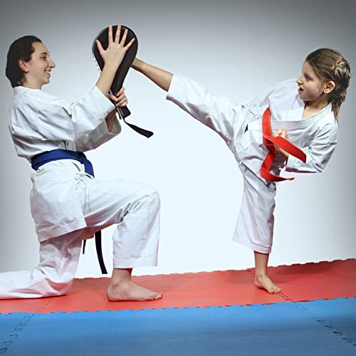 Premium Taekwondo Kick Pad - High Density Foil Striking Target for Tae Kwon Do, Karate, Kickboxing & MMA Training - 15.4