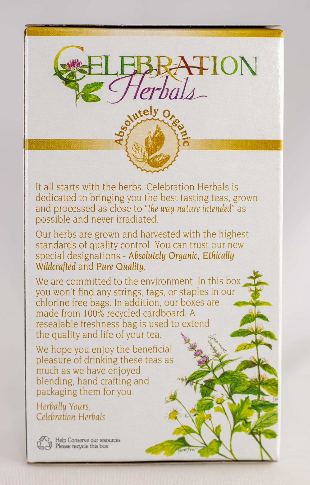 Celebration Herbals Organic Gotu Kola Tea Bags - 24 Count | Herbal Wellness Tea for Memory & Circulation | Perfect for Relaxation & Focus