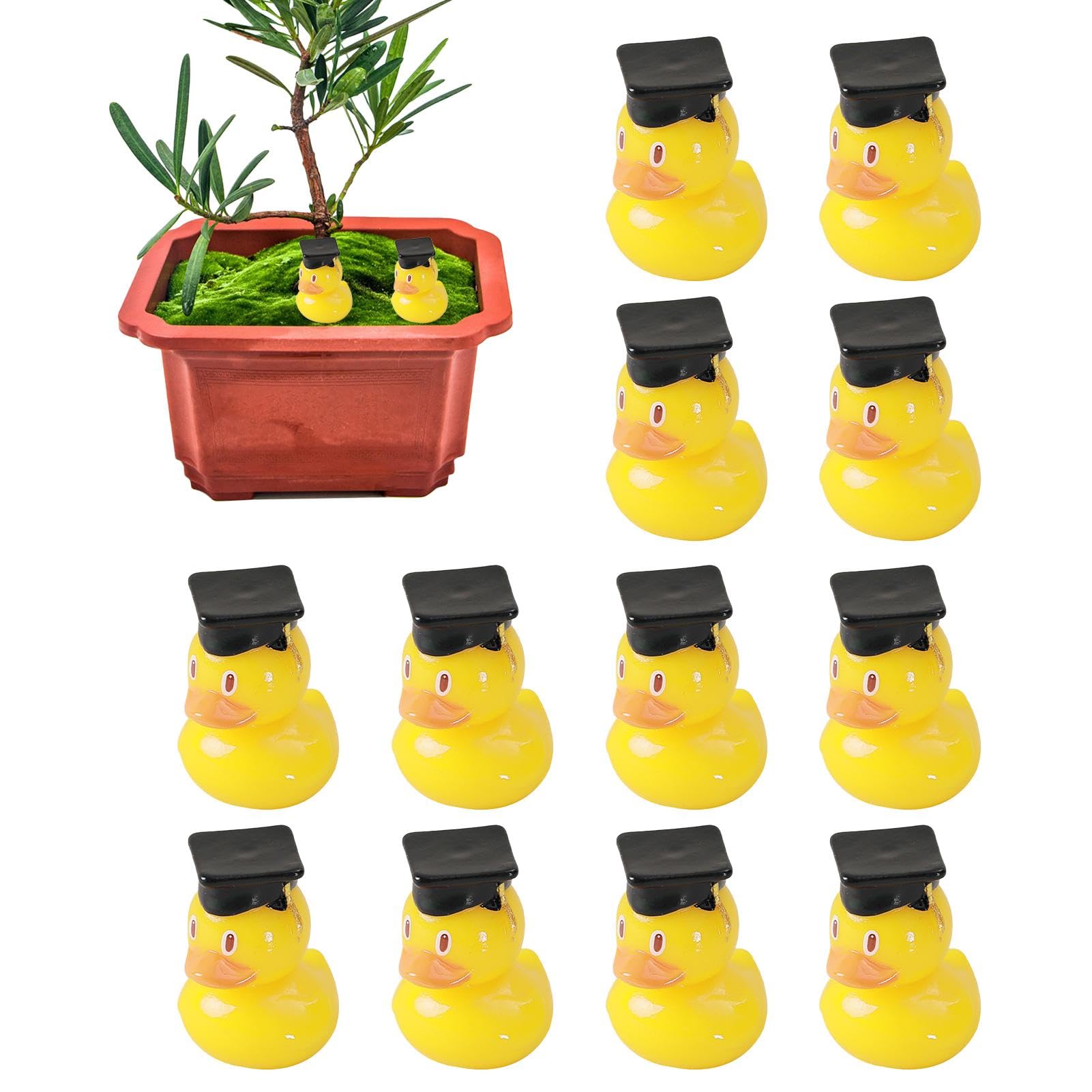 Yellow Graduation Duck with Cap - Funny Bachelor's Degree Novelty Duck for Pool Party Decorations | Graduation Party Favors, Keepsakes & Pool Float Decor - Perfect for Graduation Celebrations, Pool Parties & Gift Giving