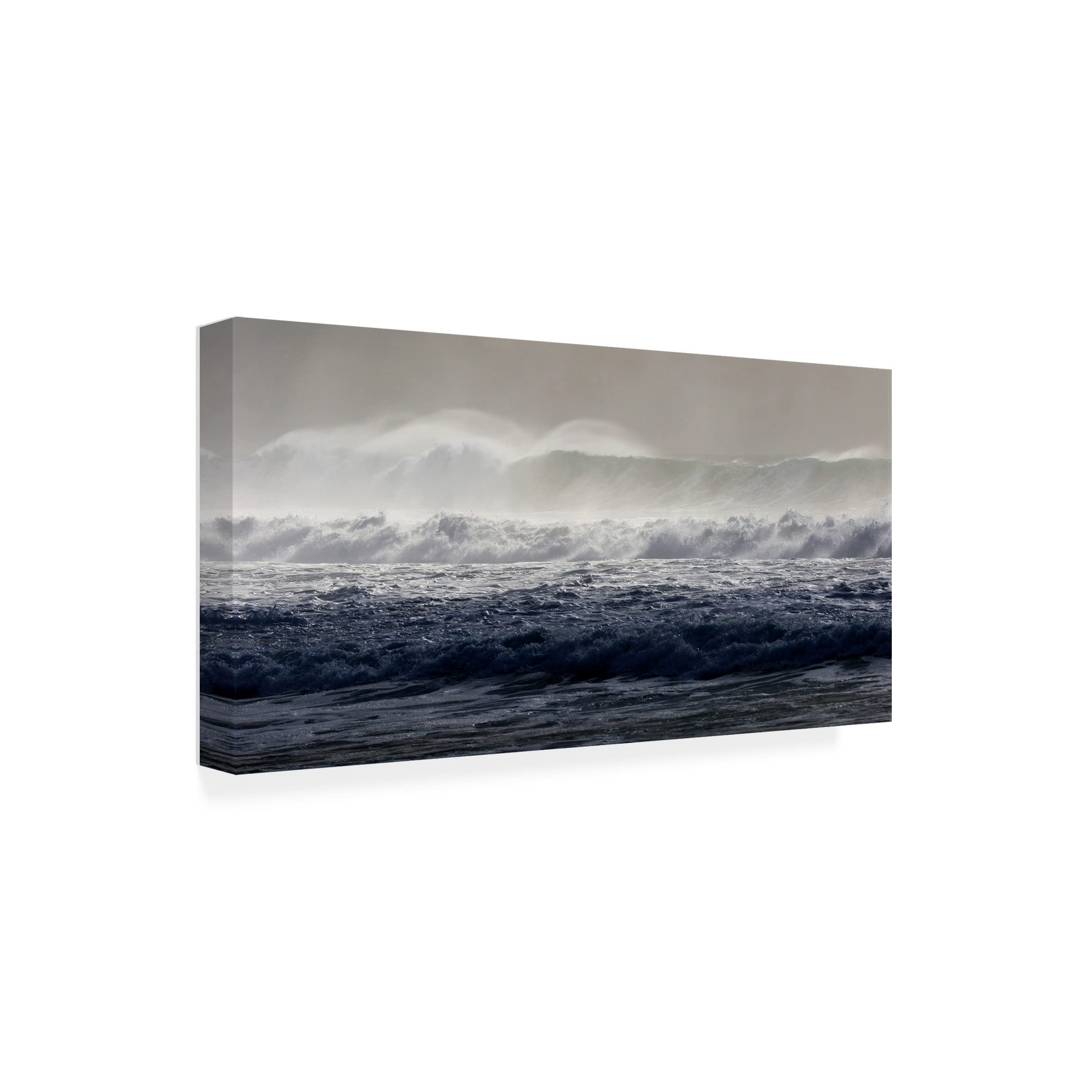 Trademark Fine Art 'Go With The Waves 2' Canvas Wall Art Print by Beata Czyzowska Young - Modern Ocean Wave Painting for Living Room, Bedroom & Office Decor