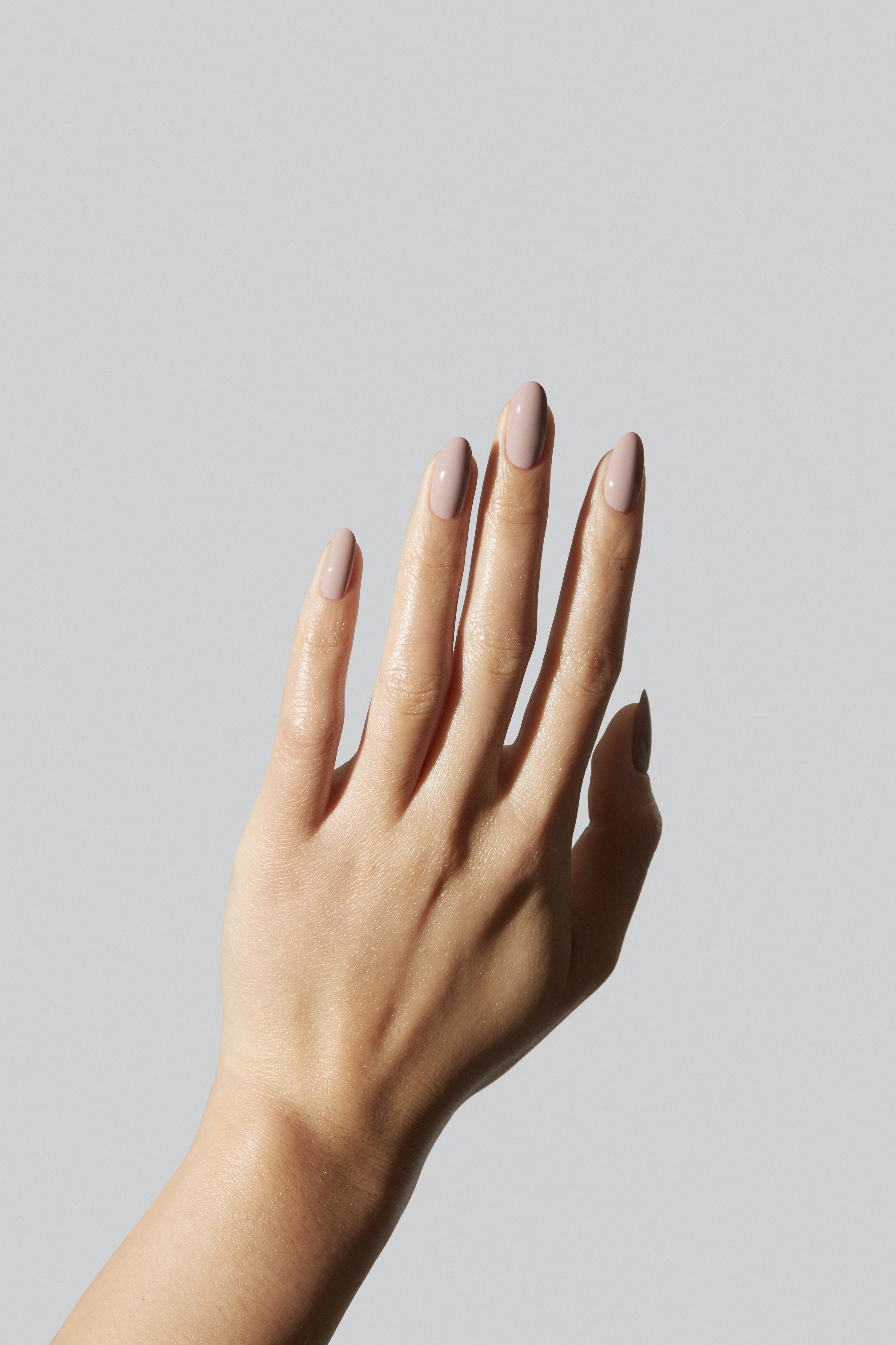 Taupe 24544070 - Premium Quality [Product Type] for Home & Office Decor | Elegant Neutral Color for Modern Interiors