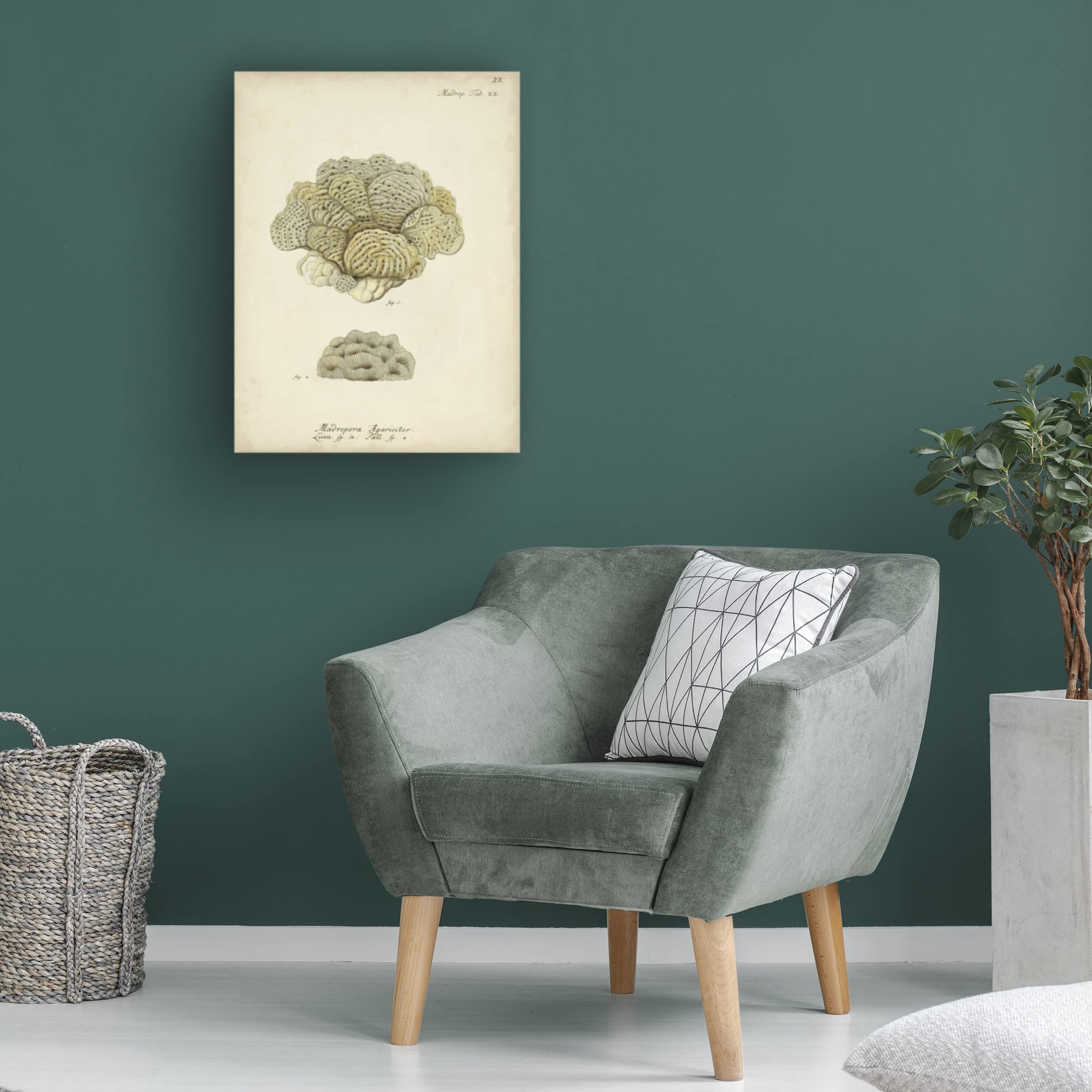 Trademark Fine Art 'Ecru Coral V' Canvas Wall Art Print by Johann Esper - Modern Abstract Painting for Living Room, Bedroom & Office Decor