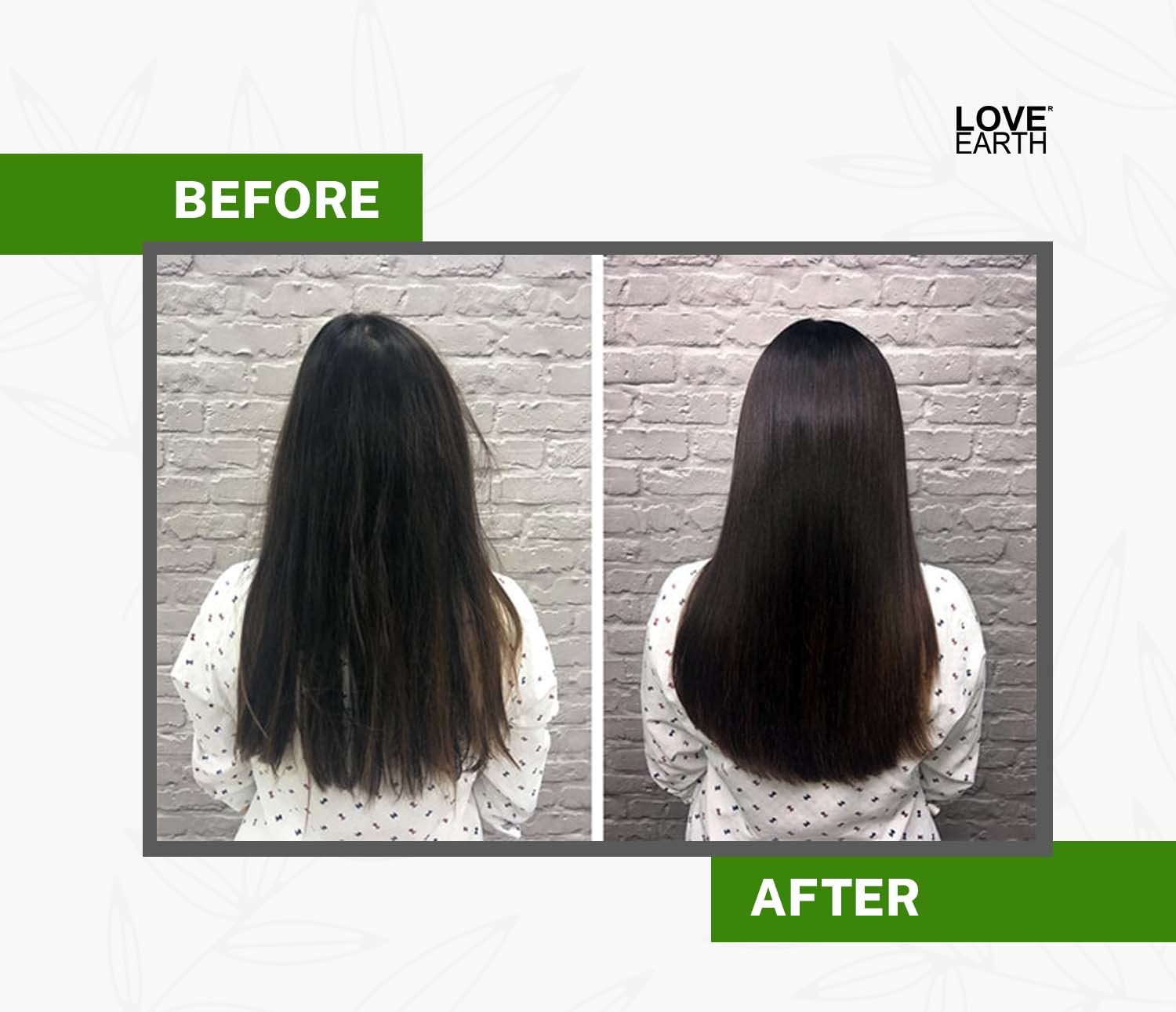 Organic Ayurvedic Hair Oil with Brahmi, Amla & Shikakai - 100ml Natural Treatment for Stronger, Shinier Hair - Promotes Hair Growth & Reduces Hair Fall - Perfect for Daily Hair Care & Scalp Massage