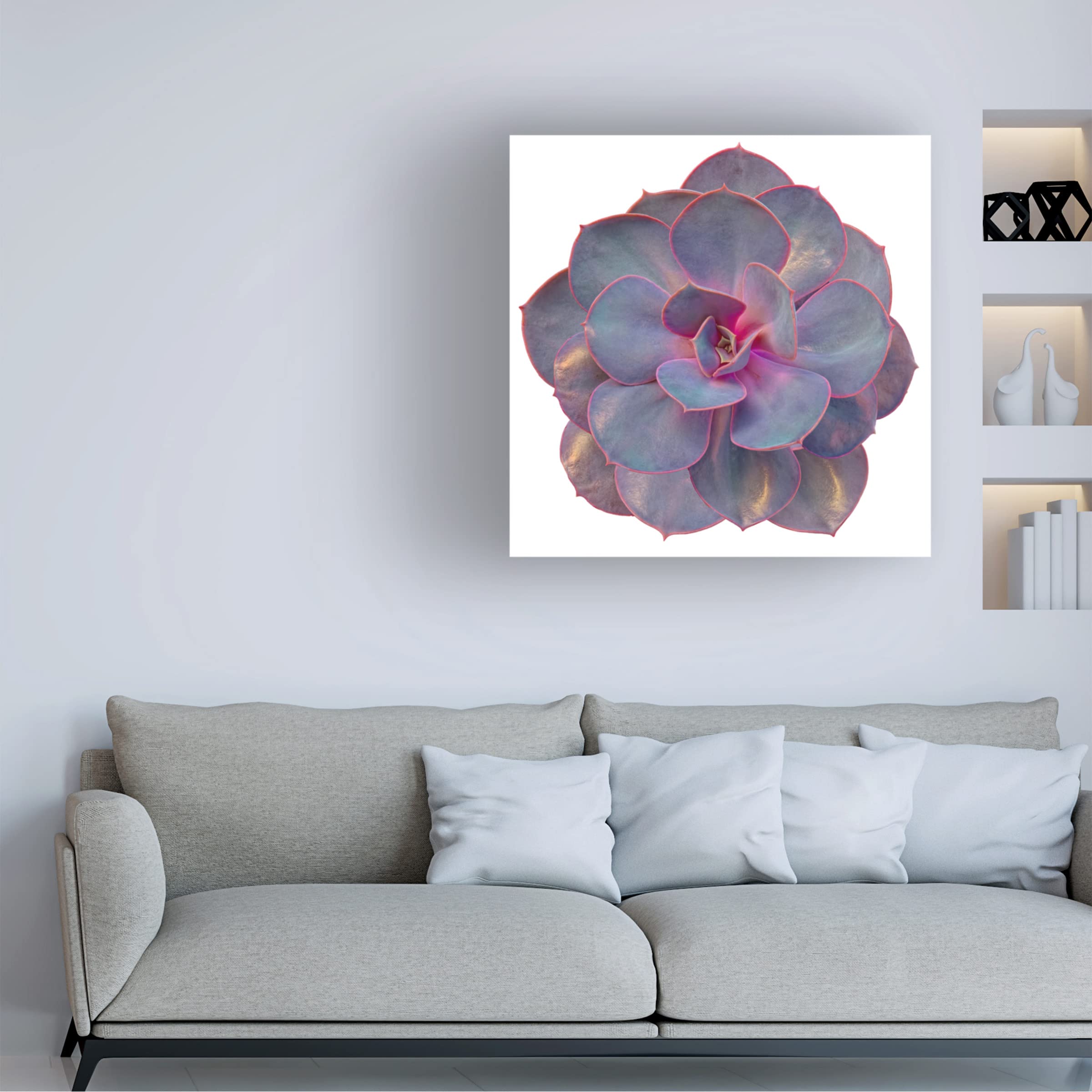 Trademark Fine Art 'Succulent Cut Out 02' Canvas Wall Art by Cora Niele - Modern Botanical Painting for Living Room, Bedroom & Office Decor