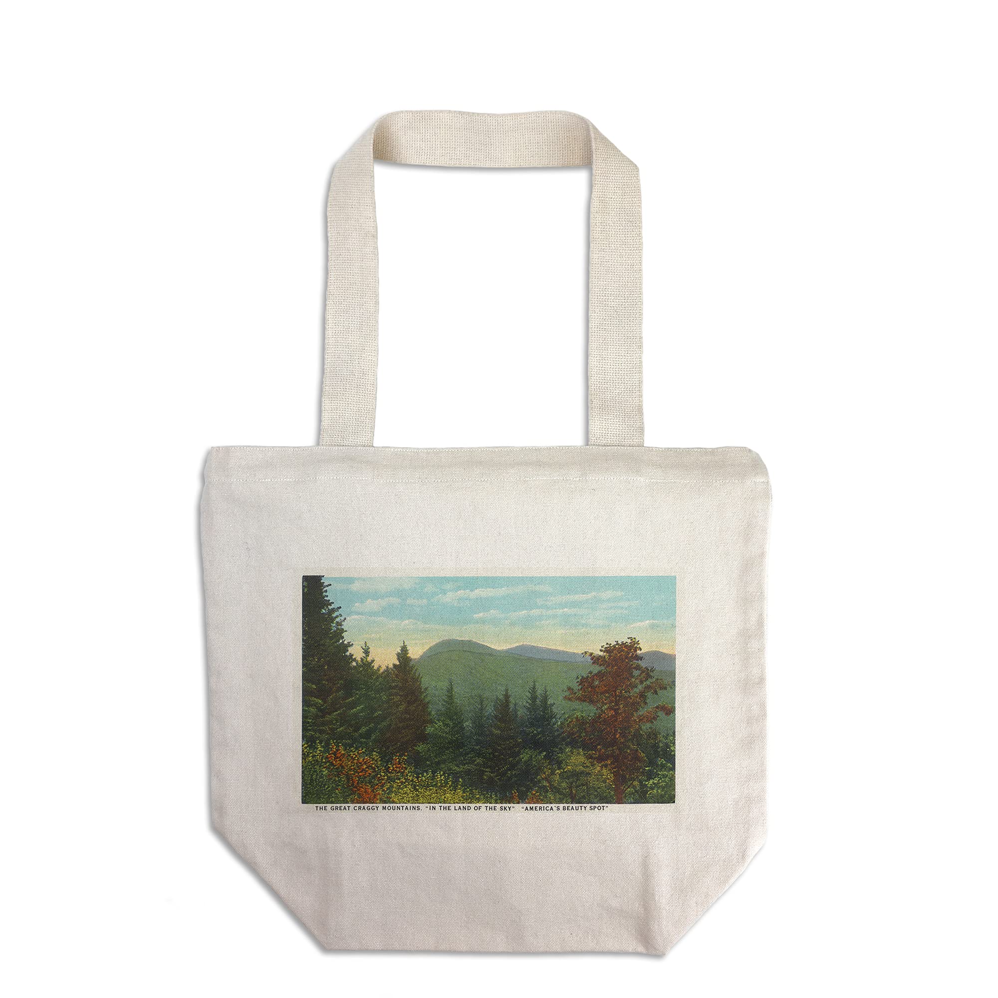 Lantern Press Blue Ridge Mountains Vintage Halftone Tote Bag - 100% Cotton Canvas Reusable Shopping Bag for Groceries, Beach & Travel | North Carolina Great Craggy Mountains View