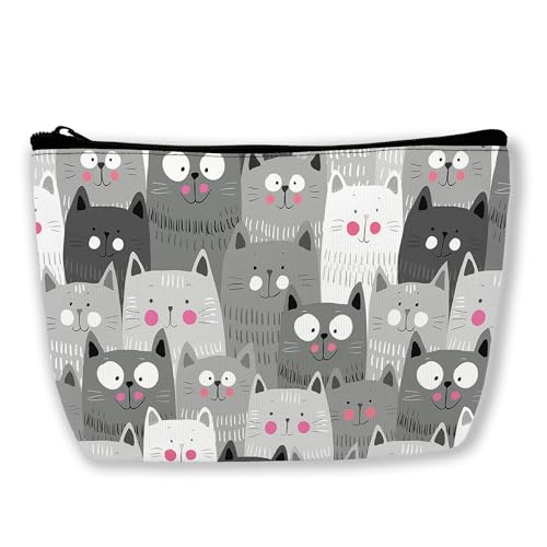grey cat cute
