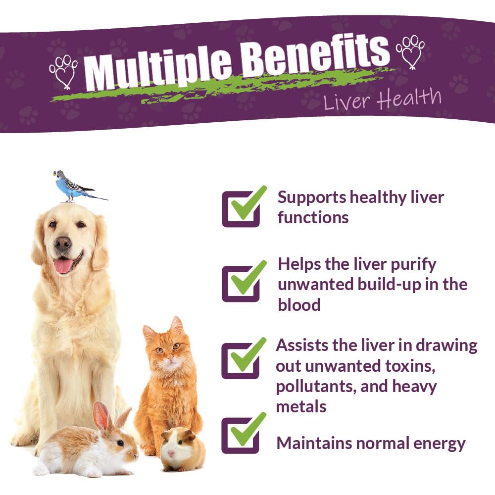 Amber NaturalZ Life Cell Support Herbal Supplement for Dogs, Cats, Birds, Guinea Pigs & Rabbits | Liver Health Support | 4oz Glass Bottle | Made in USA | Supports Detox & Vitality for Small Pets