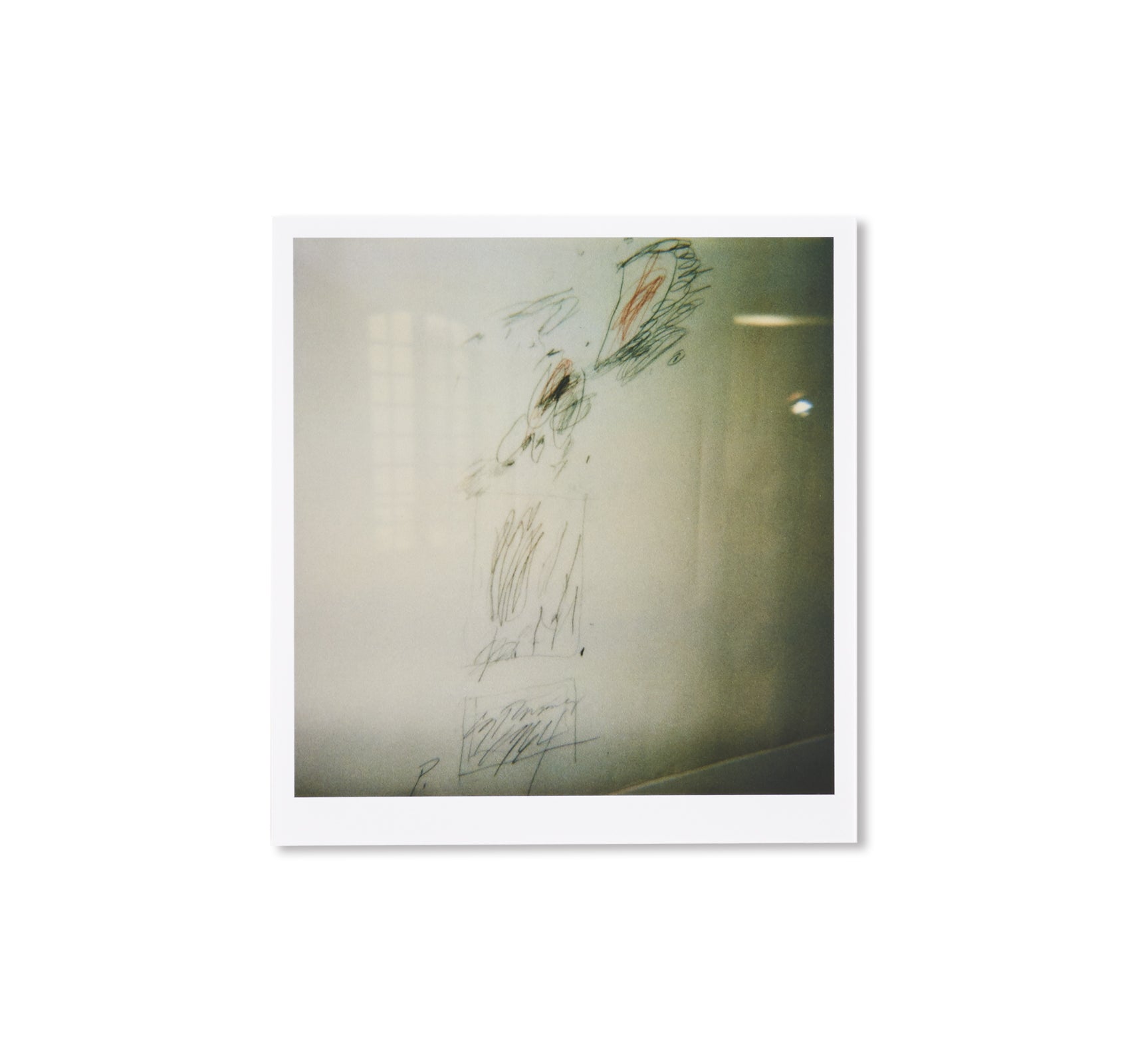 40 Photographs of Cy Twombly's Blooming Exhibition: A Scattering of Blossoms and Other Things by François Halard - Perfect for Art Collectors, Museum Enthusiasts, and Home Decor