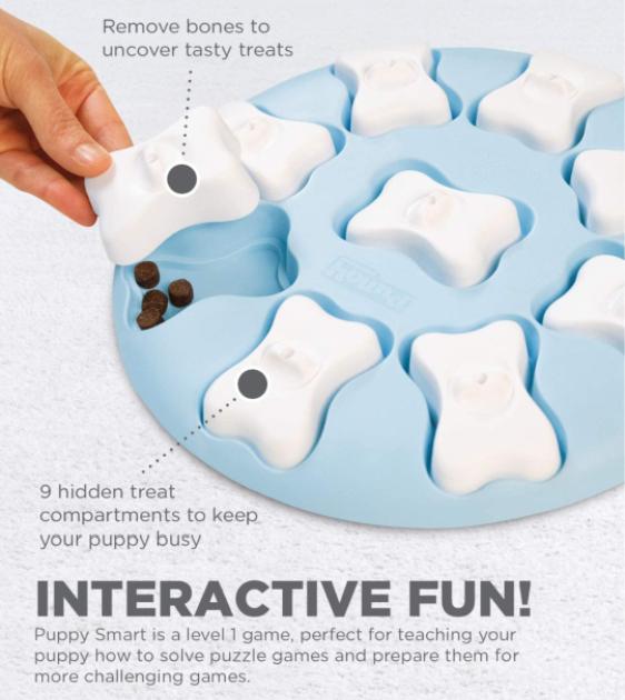 Outward Hound Nina Ottosson Puppy Smart Interactive Dog Toy - Mental Stimulation Puzzle Game for Puppies & Small Dogs | Perfect for Training, Boredom Relief & Indoor Playtime
