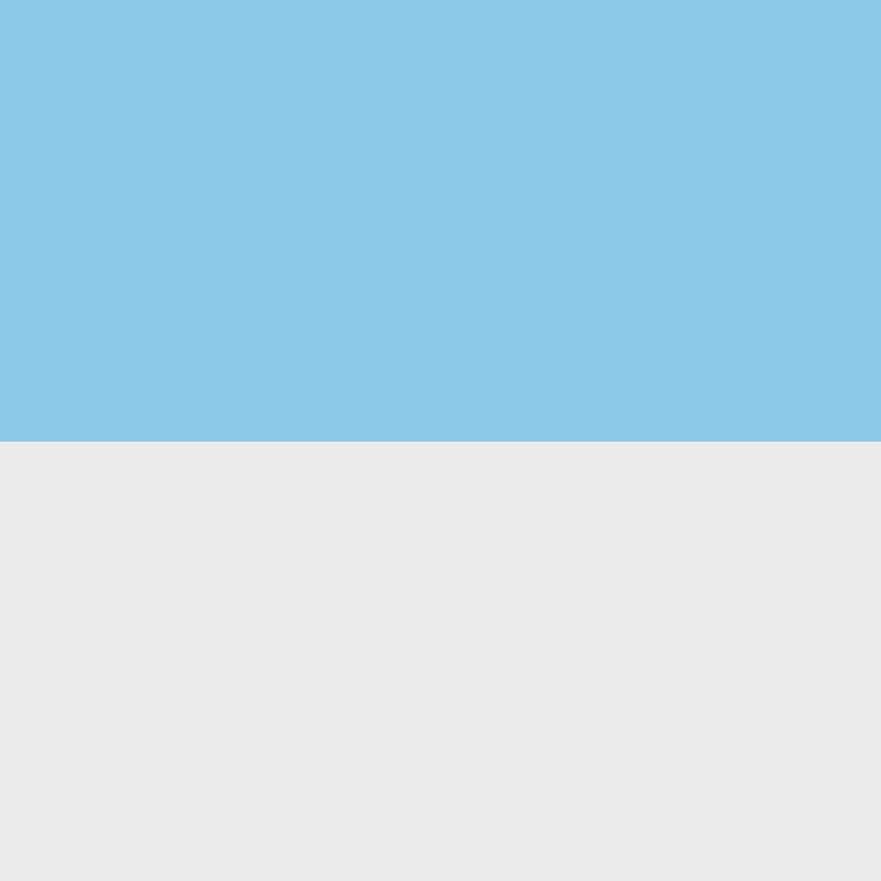 Light Blue/Silver