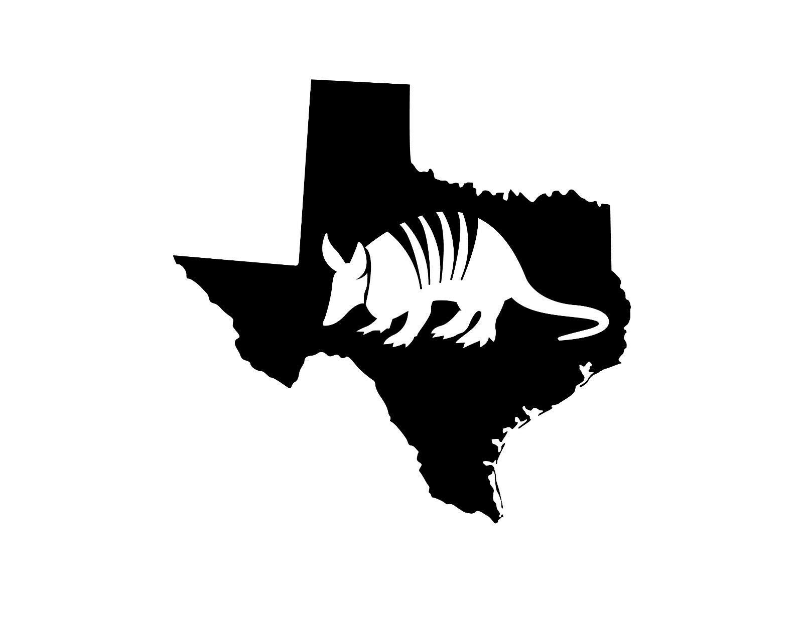 Texas Armadillo Double-Sided Stainless Steel Keychain - Durable Key Ring Holder for Car Keys, House Keys & Key Finder - Perfect for Travel, Gifts & Everyday Use