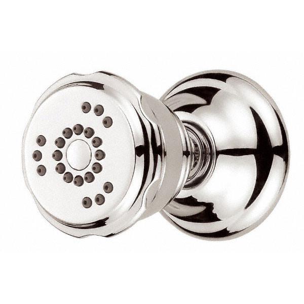 Danze Polished Nickel 2-Function Swivel Wall Mount Shower Body Spray - Traditional Style for Bathroom & Spa Relaxation