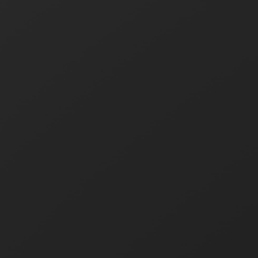 Black (Dated, Jan 2025- Jan 2026)