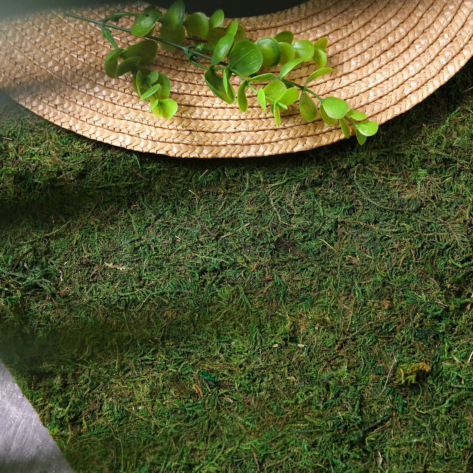18x16 Inch Green Natural Preserved Moss Sheet - Bulk Wedding, Party & Event Decor for Centerpieces, Crafts, Wholesale Supplies | Perfect for DIY Projects, Floral Arrangements & Home Decor