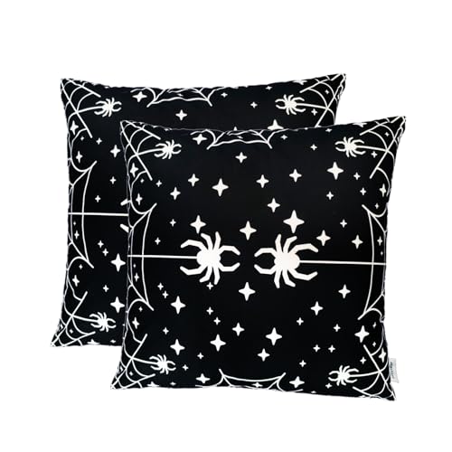 White Spider Print