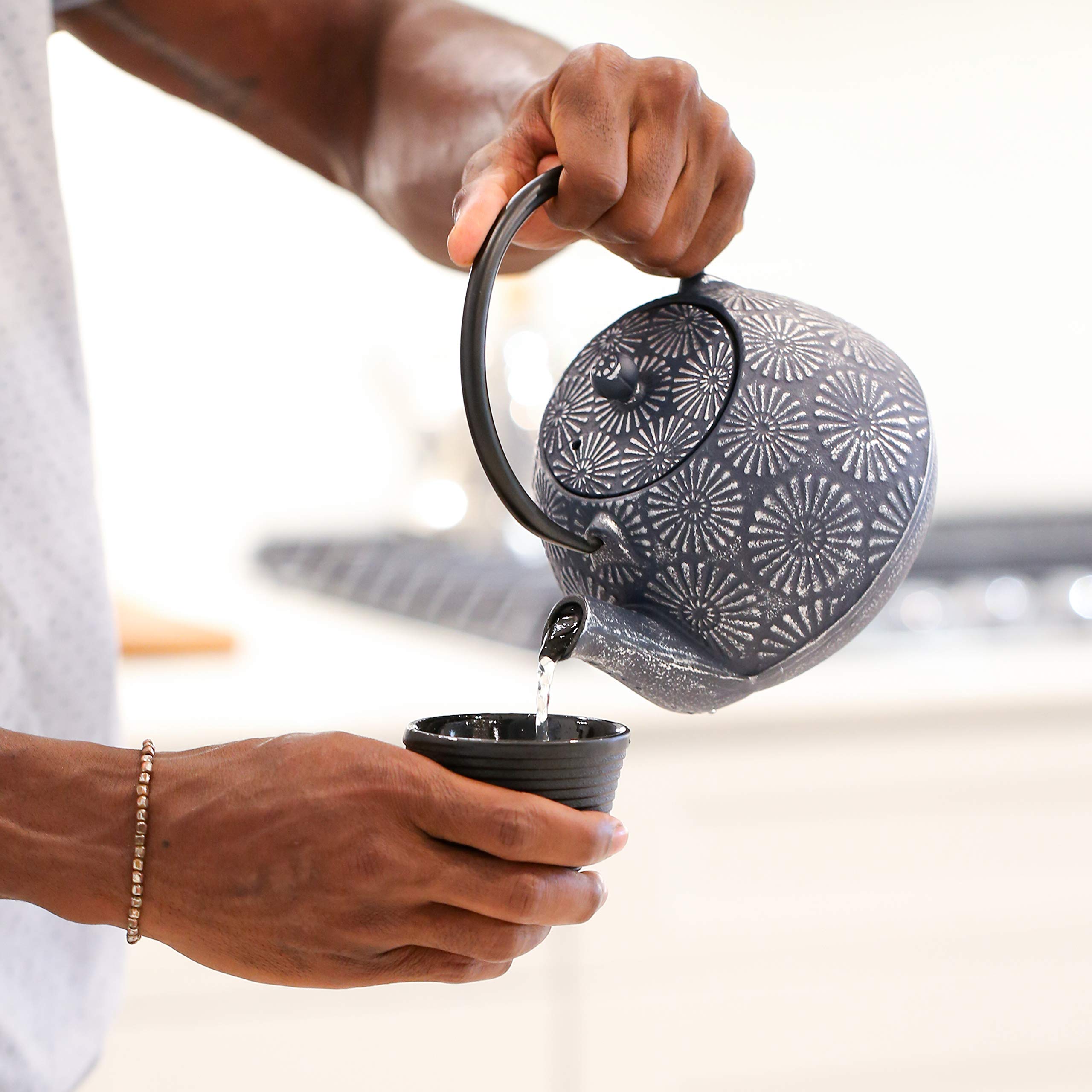 Frieling Hani Blue/Silver Cast Iron Teapot with Stainless Steel Infuser - 40 oz Japanese Style Tea Pot for Loose Leaf Tea - Perfect for Home, Office & Tea Ceremonies