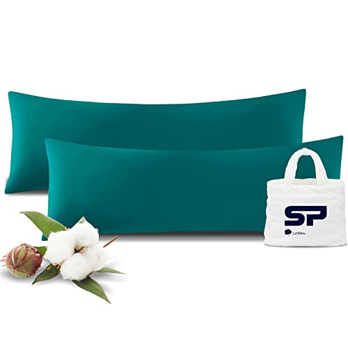 Teal Solid