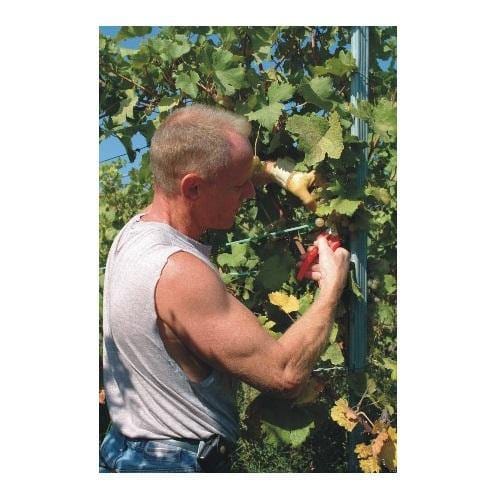 Felco 310 Professional Picking & Trimming Snips - High Precision Garden Shears for Harvesting Fruits, Vegetables & Flowers - Perfect for Home Gardeners & Farmers