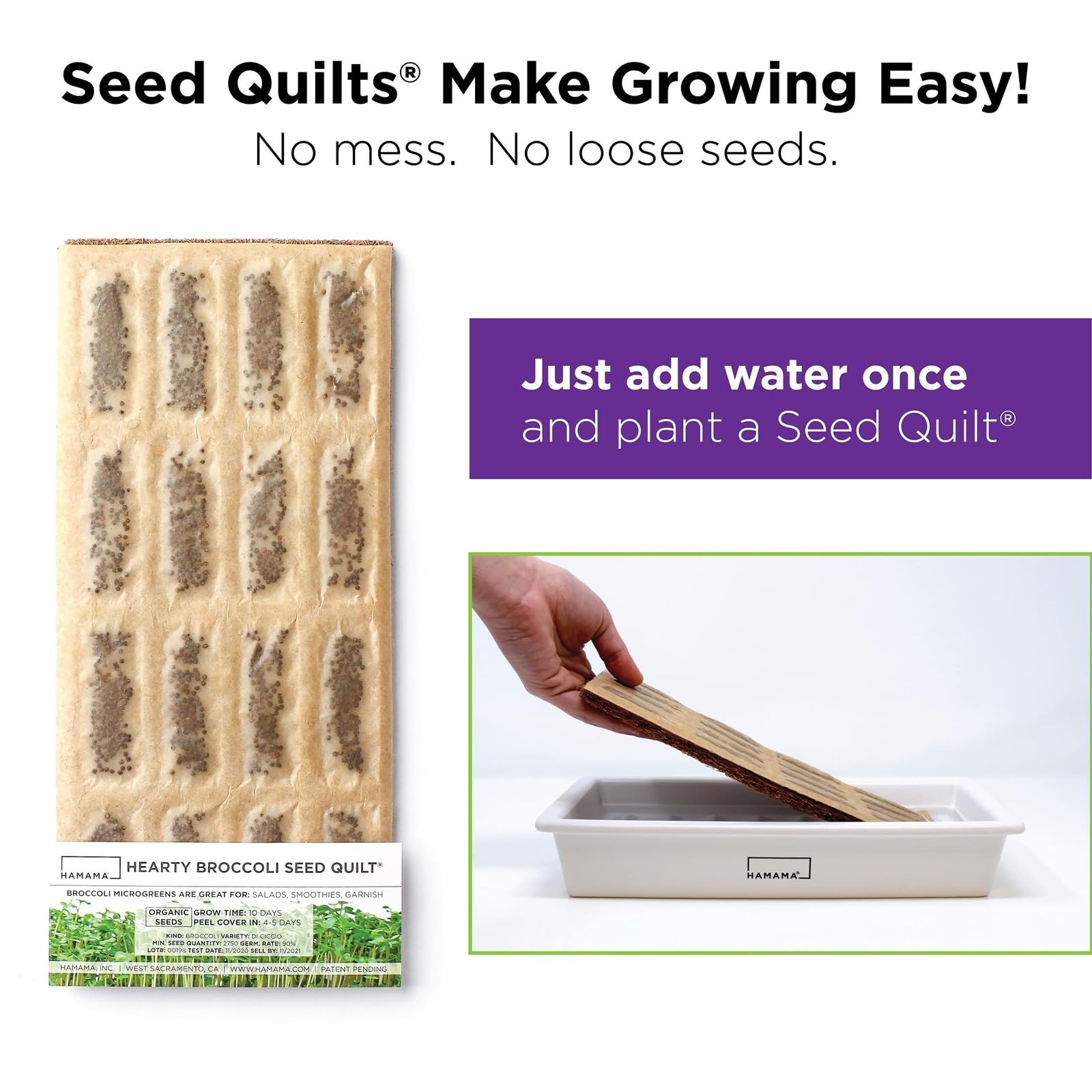 Organic HAMAMA Microgreens Growing Kit - Includes Kale, Broccoli & Salad Greens - Indoor Sprouting System with Seed Quilts & Ceramic Tray - Easy Setup for Home Gardening (Pack of 3) - Perfect for Salads, Smoothies & Healthy Eating