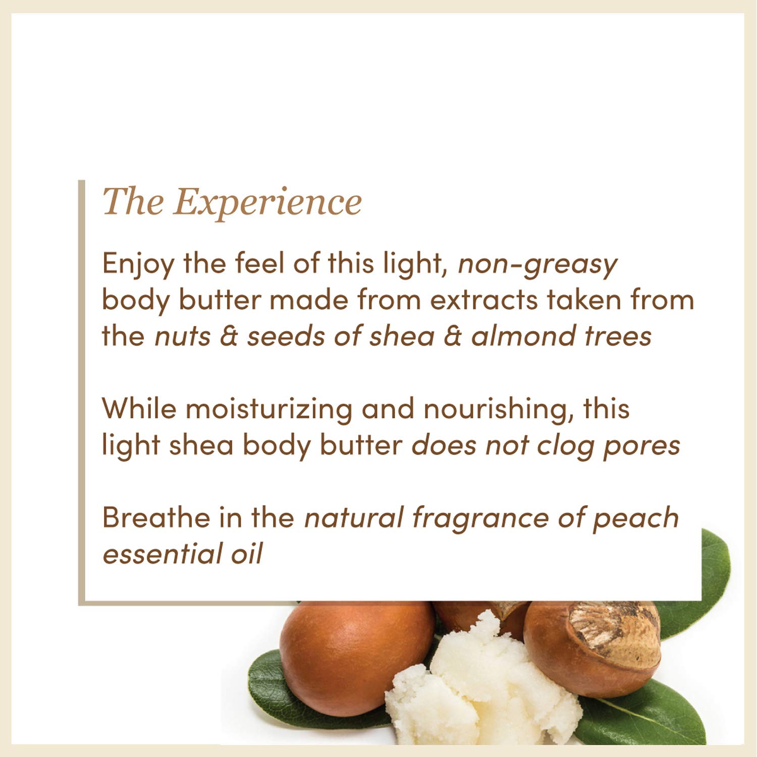 Organic Shea Body Butter by The Earth Reserve - Deep Moisturizing & Nourishing for Dry Skin | Perfect for Daily Hydration, Post-Shower Care & Spa Nights