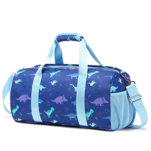 Light Blue - Dinosaur Print