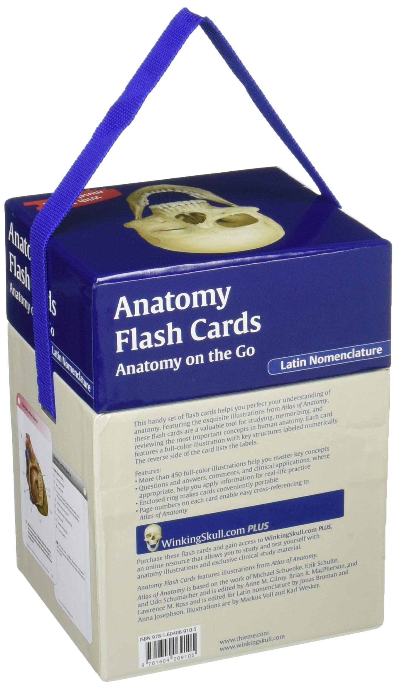 Anatomy Flash Cards: Latin Nomenclature Study Guide for Medical Students - Perfect for On-the-Go Learning & Exam Prep