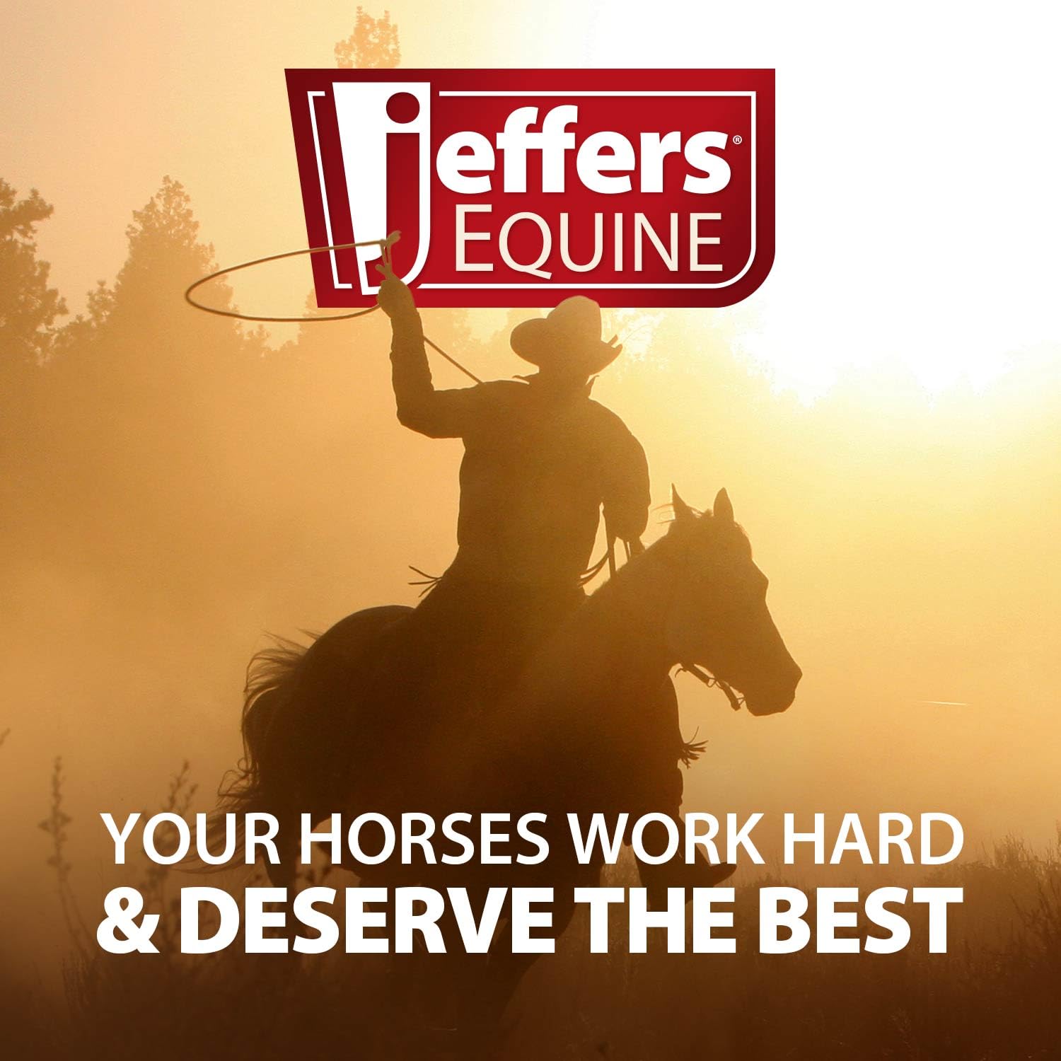 Jeffers Horse Sheath Cleaner - 16 oz Gentle Cleaning Solution for Equine Hygiene | Perfect for Grooming, Show Prep & Daily Horse Care