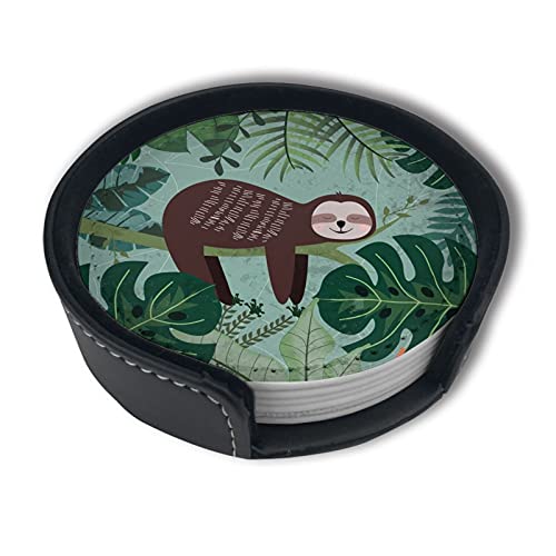 Tropical Summer Sloth Bear