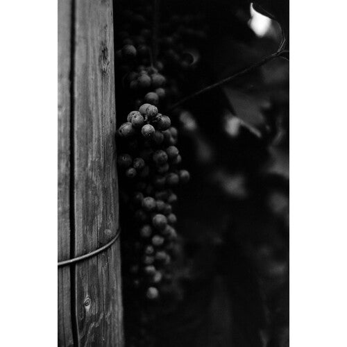 Ferrania P30 Black and White 35mm Film - 80 ISO, 36 Exposures Roll | Perfect for Street Photography & Vintage Film Cameras