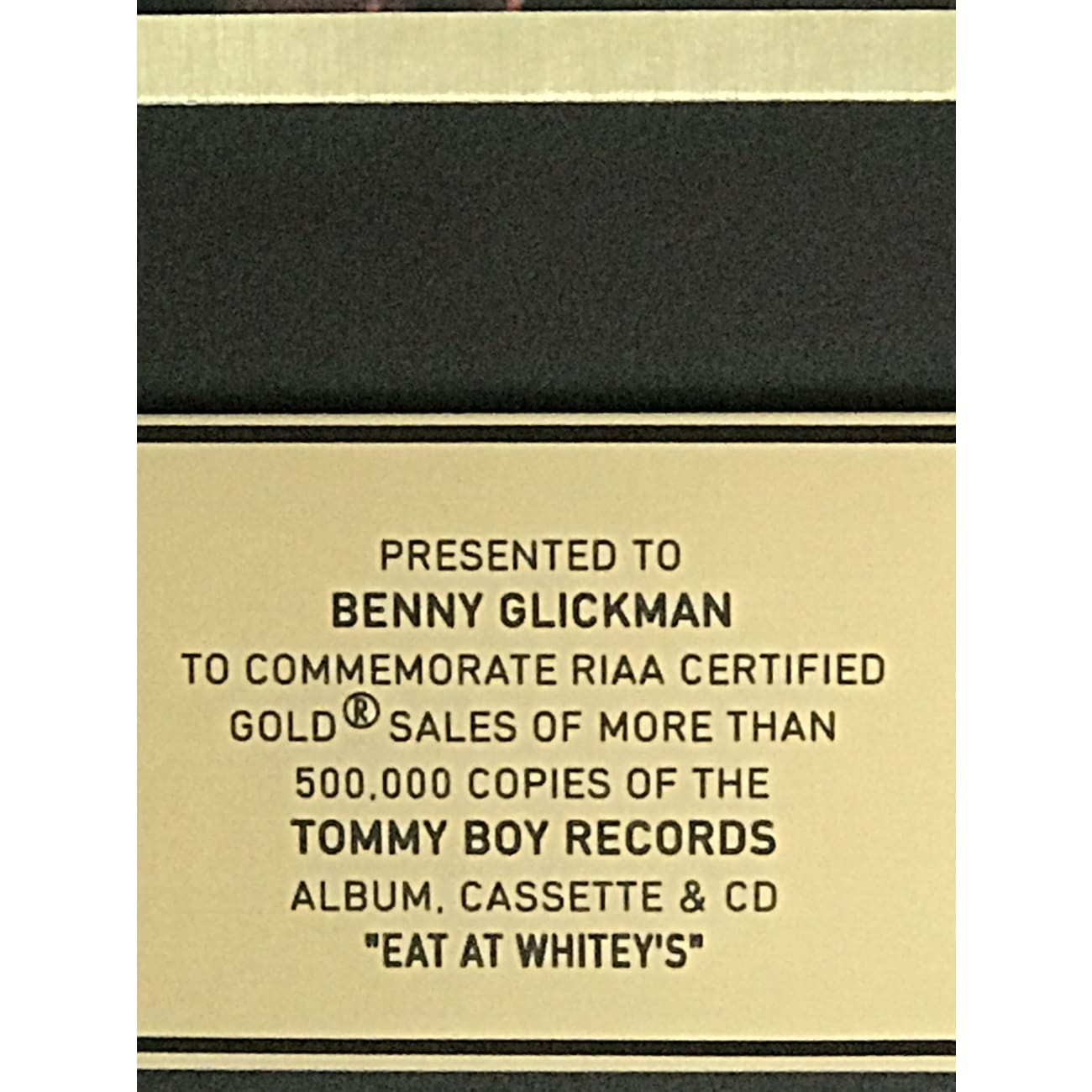 Everlast - Eat At Whitey's RIAA Gold Album Award - Official Music CD - Perfect for Collectors & Fans of Hip Hop & Rock Music - Great for Home, Car, or Party Playback