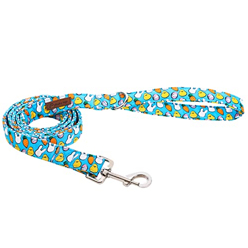 Easter Egg(Dog Leash)