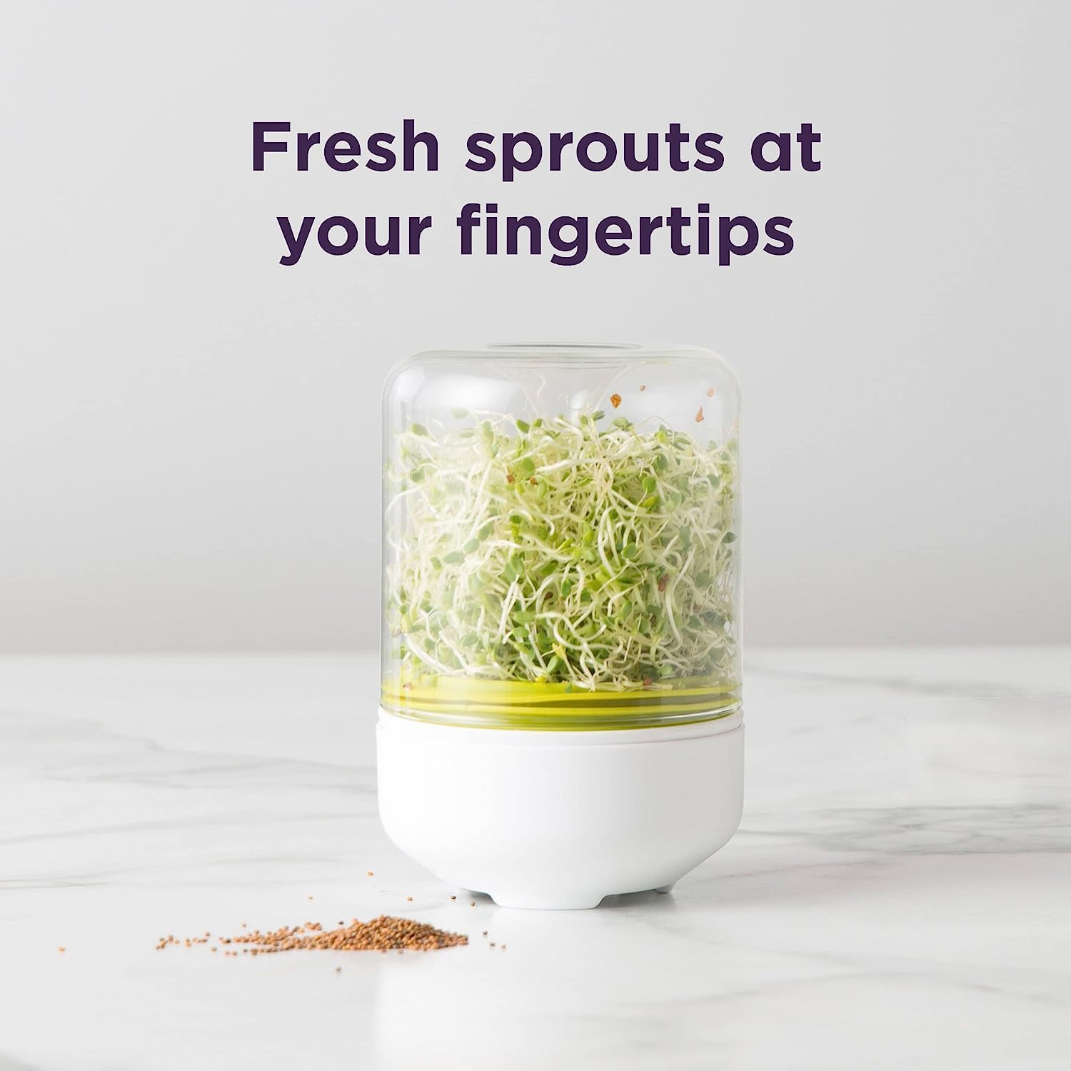 TEESTA Plastic Sprout Maker Kit with Container - Organic Bean Sprout Growing Box for Healthy Living | Fresh & Hygienic Countertop Sprouting System | Perfect for Home Gardening, Vegan Diets & Healthy Snacks