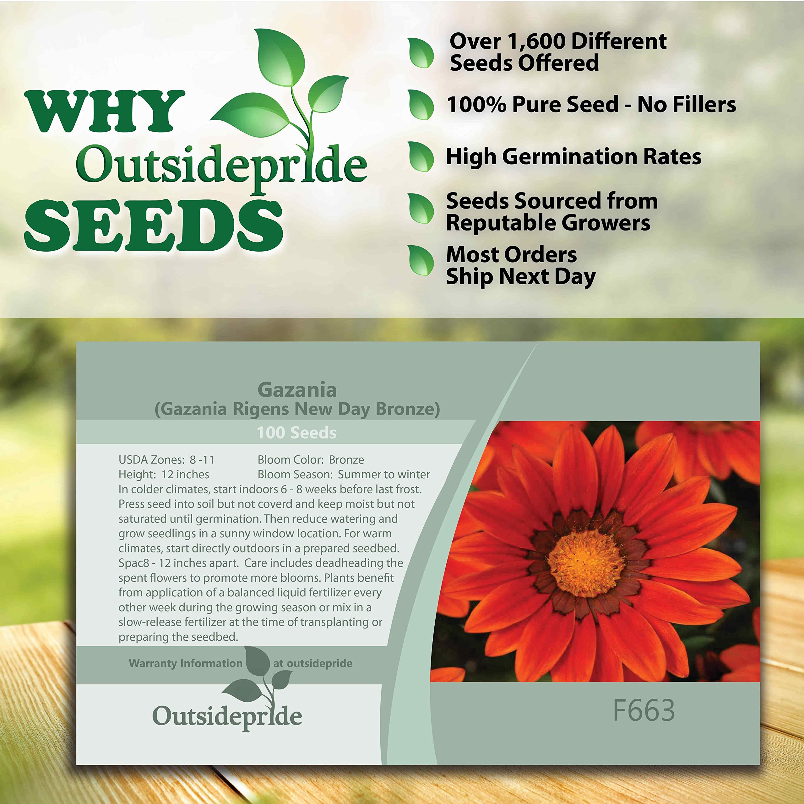 Outsidepride 50 Seeds Perennial Gazania Bronze - Heat & Drought Tolerant Ground Cover Flower Seeds for Planting - Perfect for Rock Gardens, Borders & Xeriscaping Landscapes