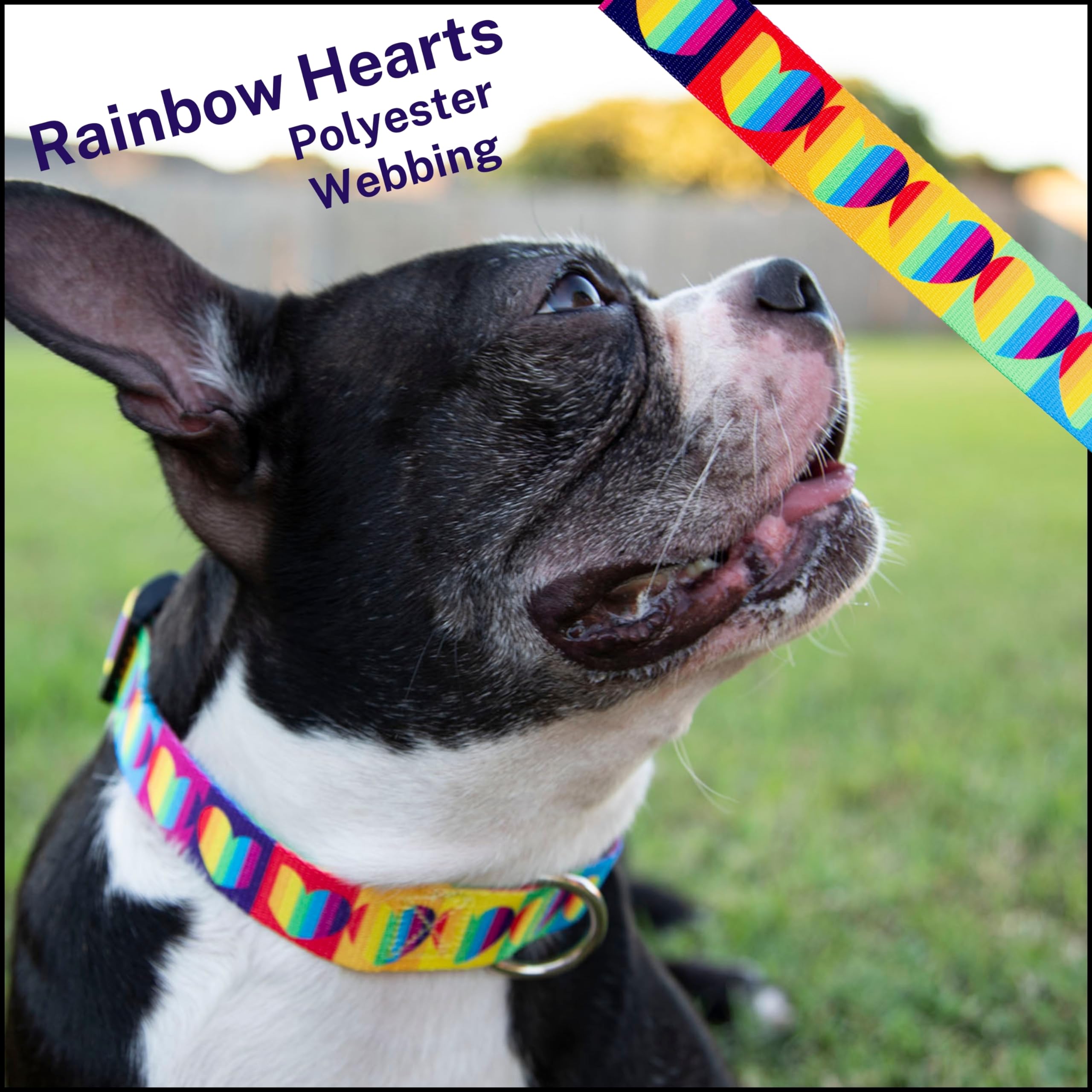 Country Brook Design - Rainbow Hearts Polyester Webbing for DIY Crafts, Sewing Projects & Fashion Accessories | Perfect for Scrapbooking, Hair Bows & Gift Wrapping