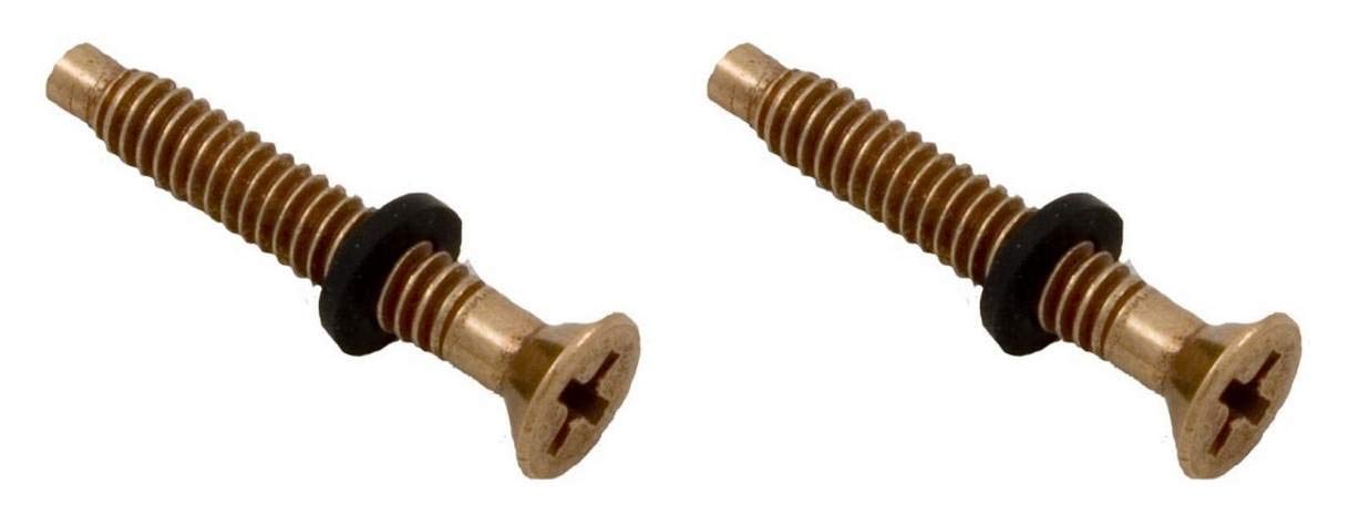 Pentair 79104800 Replacement Brass Pilot Screws with Gum Washers for Pool Light - Durable Pool Maintenance Parts for Inground & Above Ground Pools