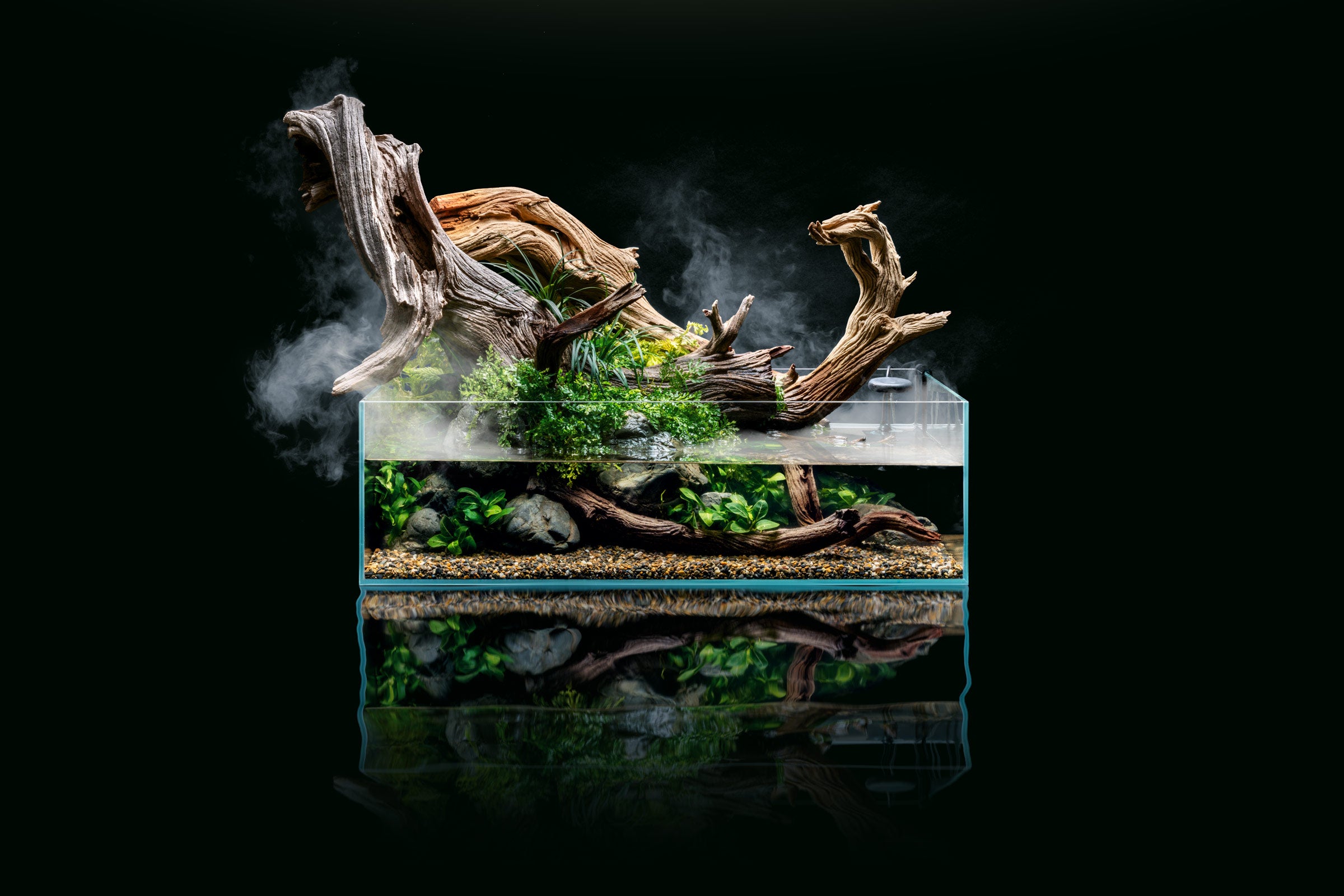 Premium UNS Rimless Shallow Glass Aquarium Tank - 5 Gallon Nano Fish Tank for Betta, Shrimp & Plants | Perfect for Desktop, Office & Home Decor